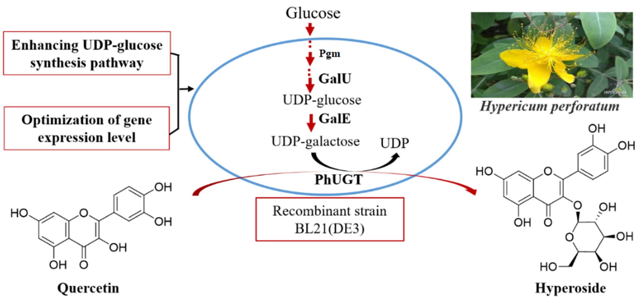 Microorganisms 10 00628 g001