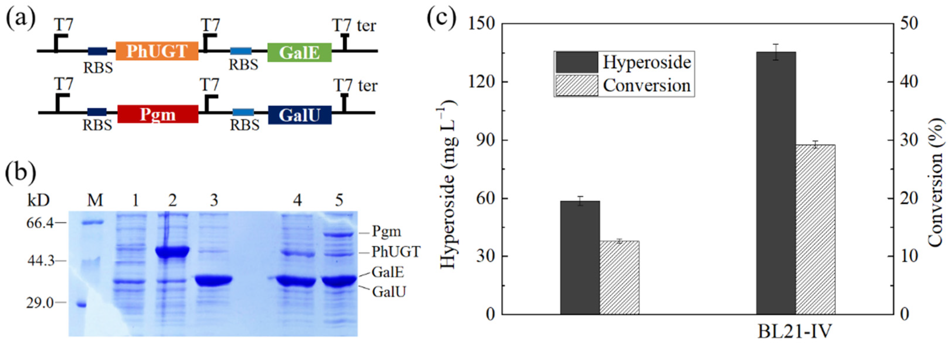 Microorganisms 10 00628 g003