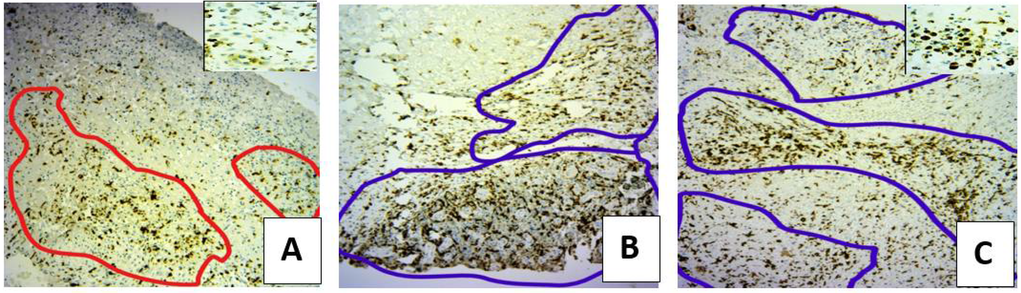 Microorganisms 10 00634 g005