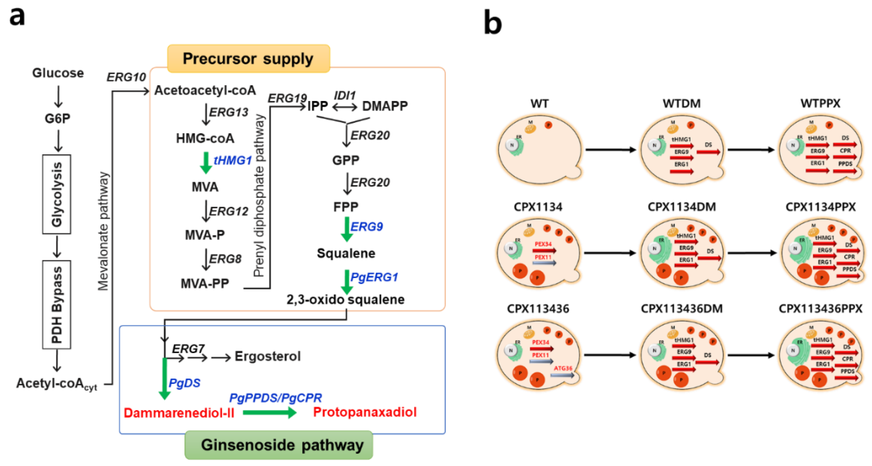 Microorganisms 10 00650 g005