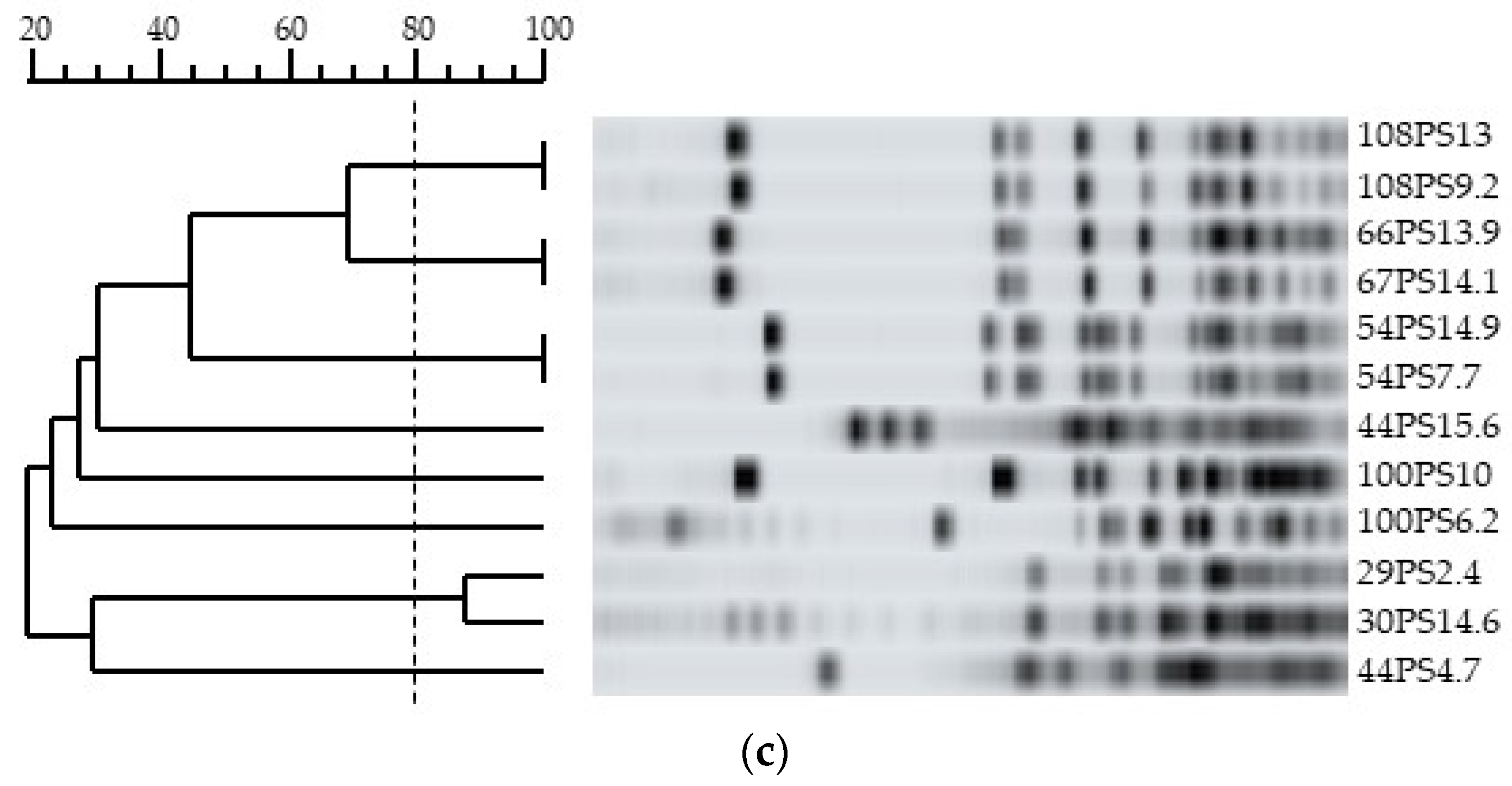 Microorganisms 10 00654 g001b
