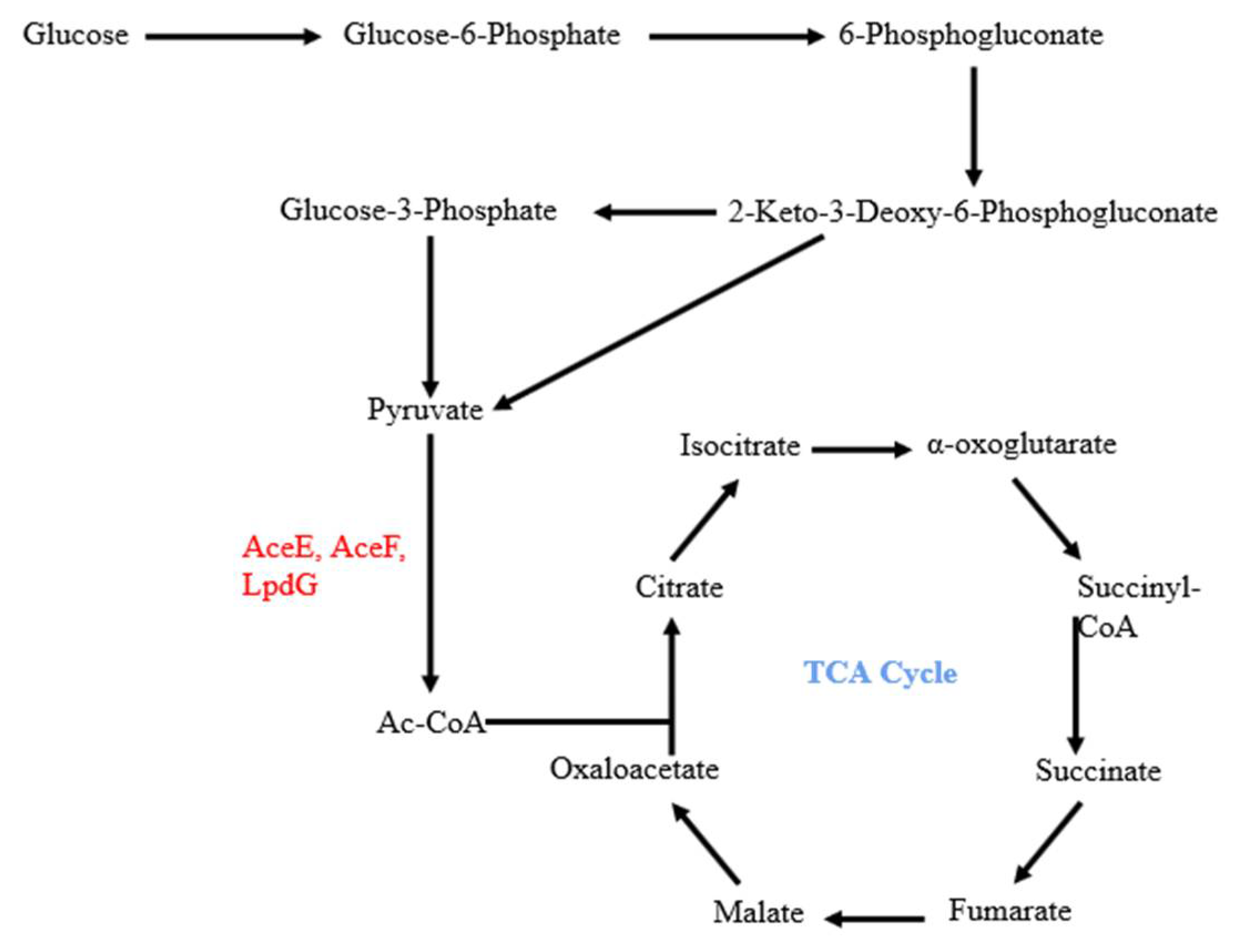 Microorganisms 10 00666 g001 Microorganisms 10 00666 g001