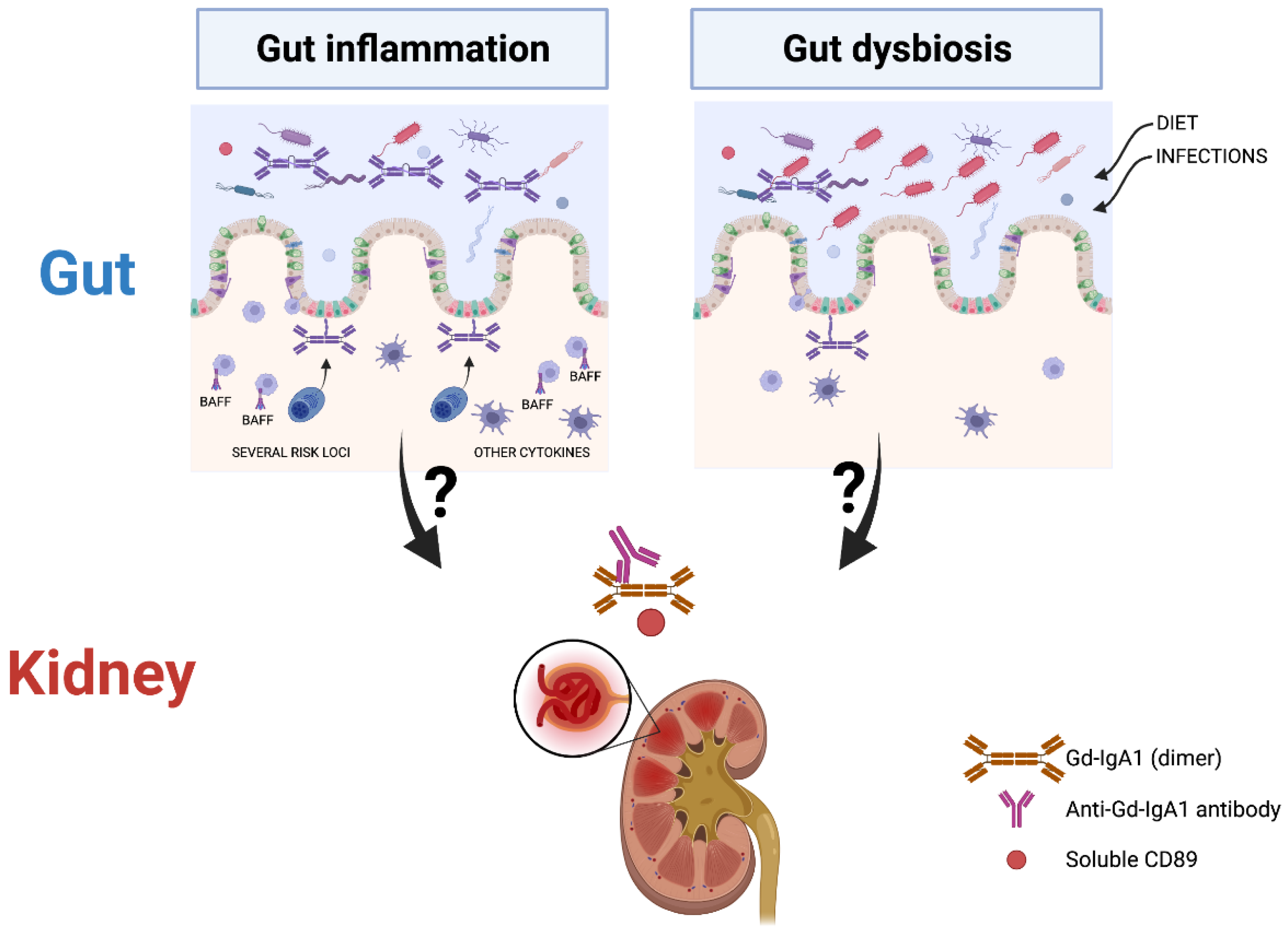 Microorganisms 10 00683 g001
