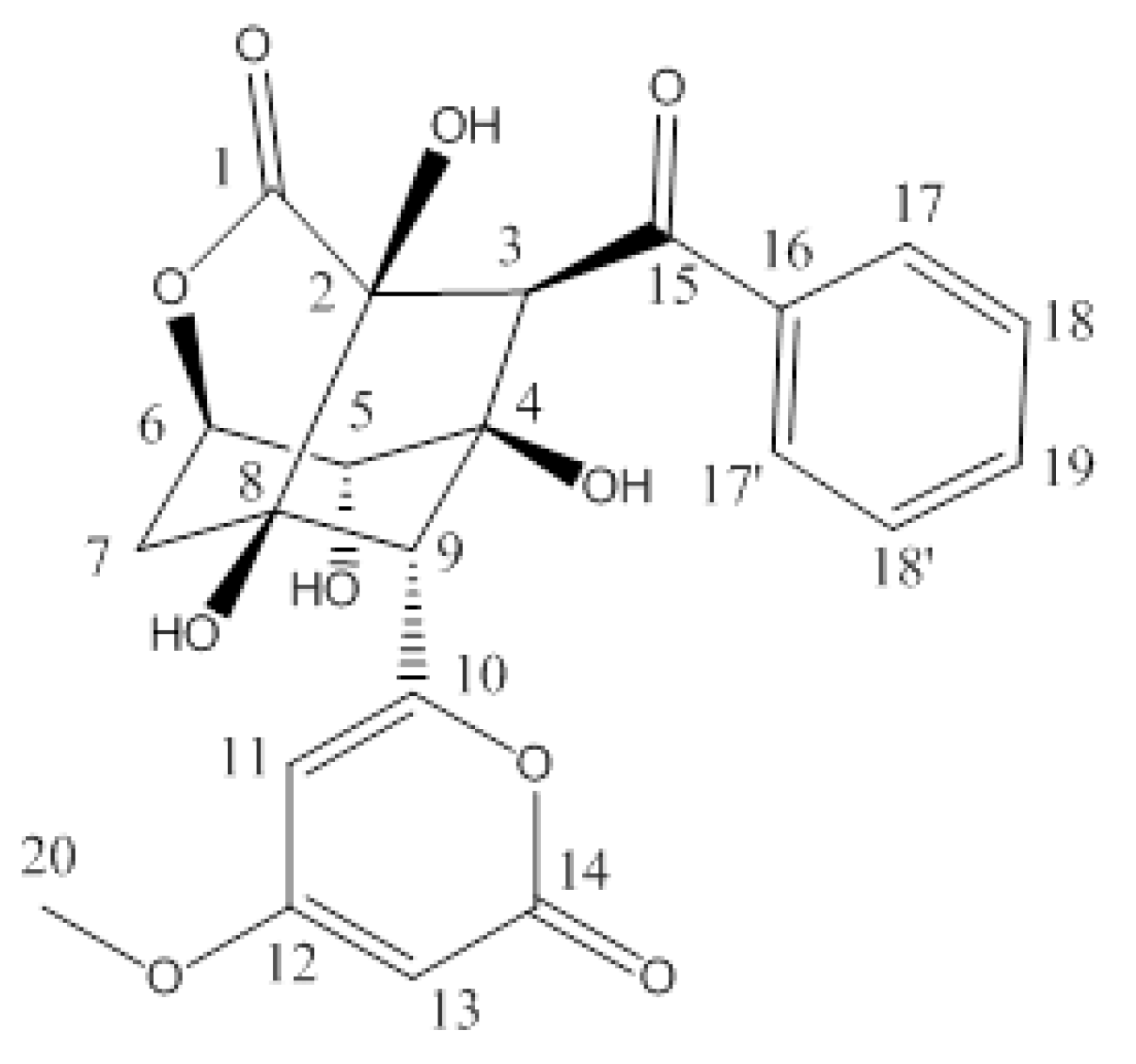 Microorganisms 10 00684 g001