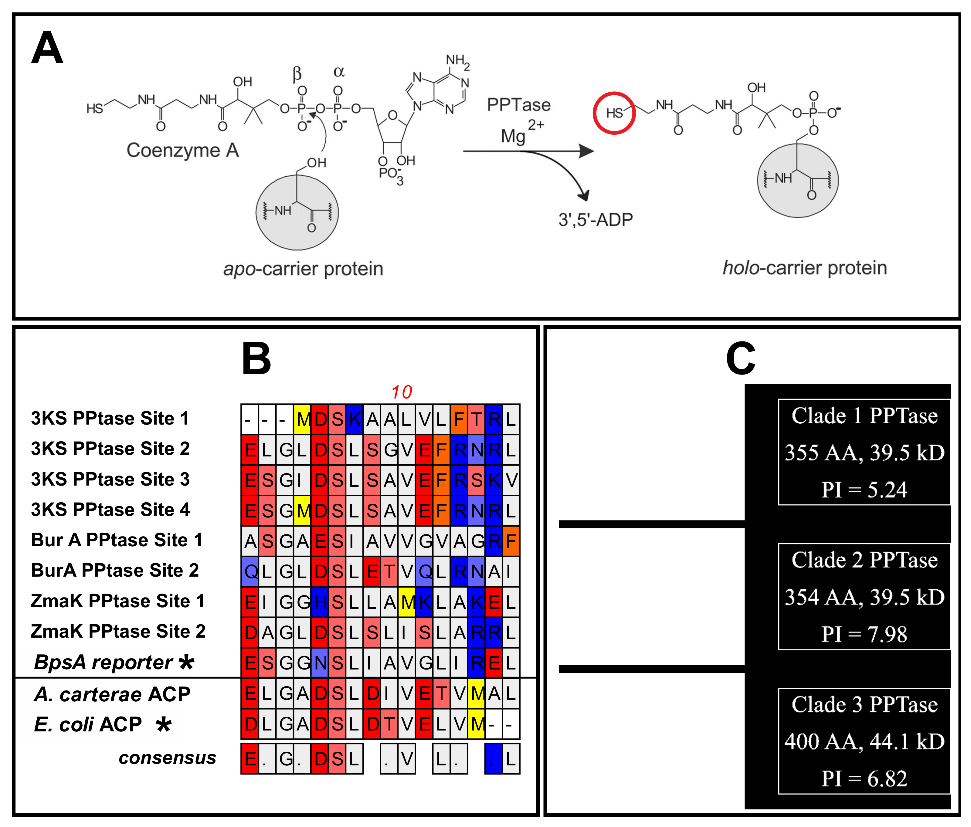 Microorganisms 10 00687 g003