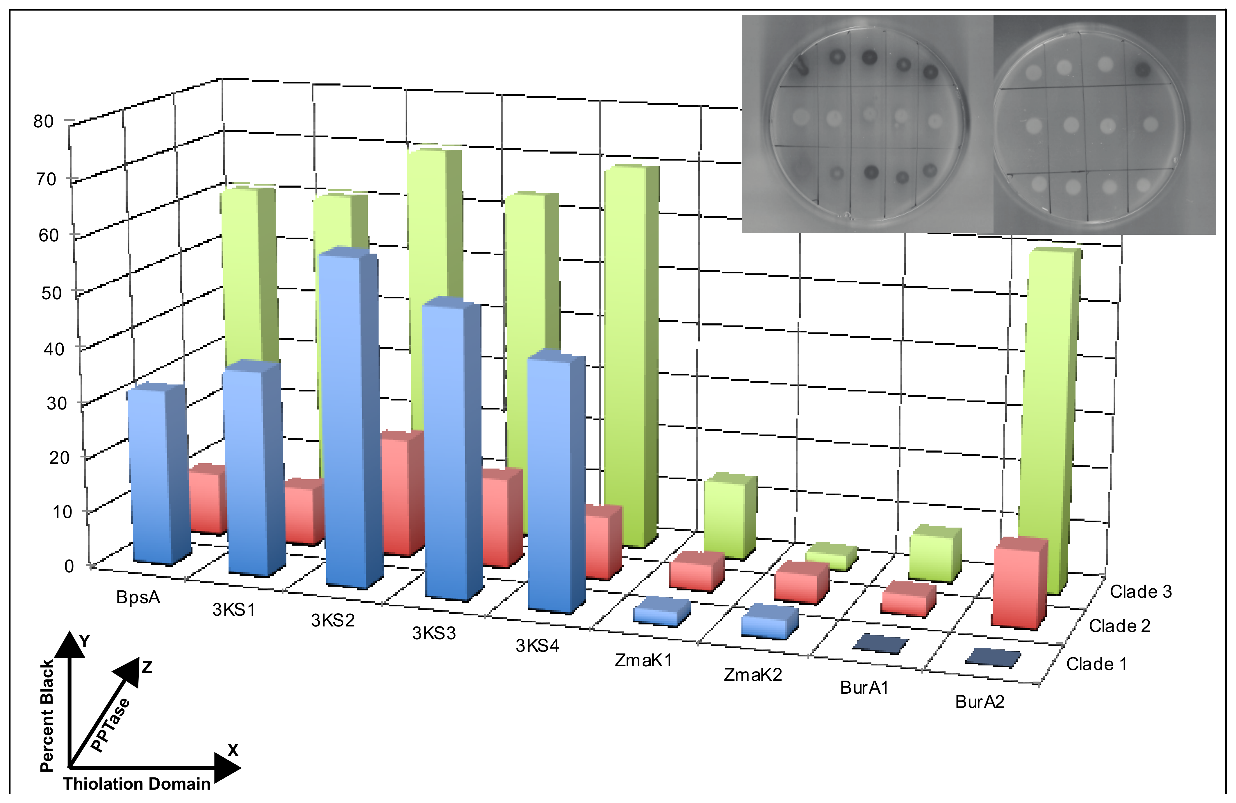 Microorganisms 10 00687 g007