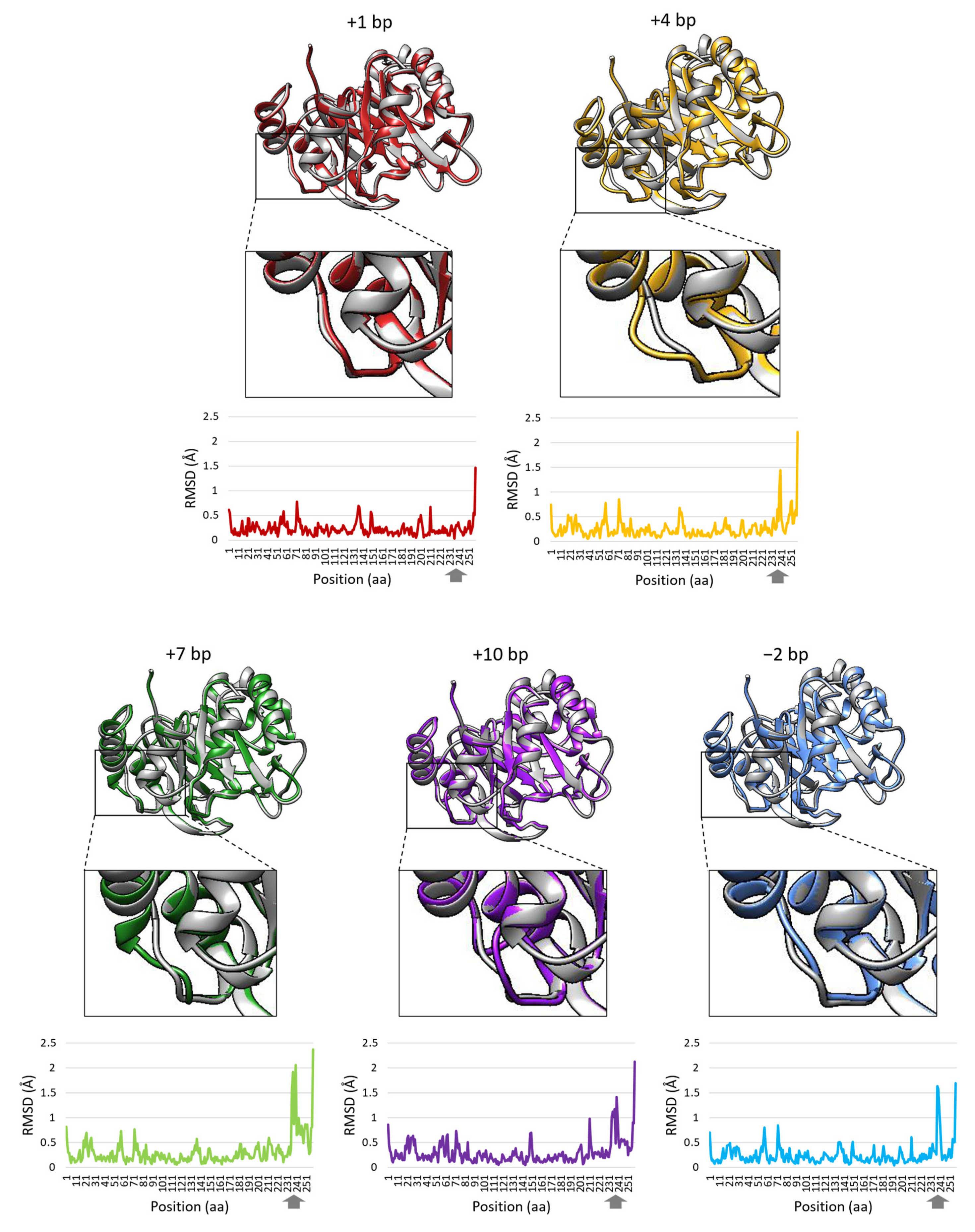 Microorganisms 10 00692 g003 Microorganisms 10 00692 g003