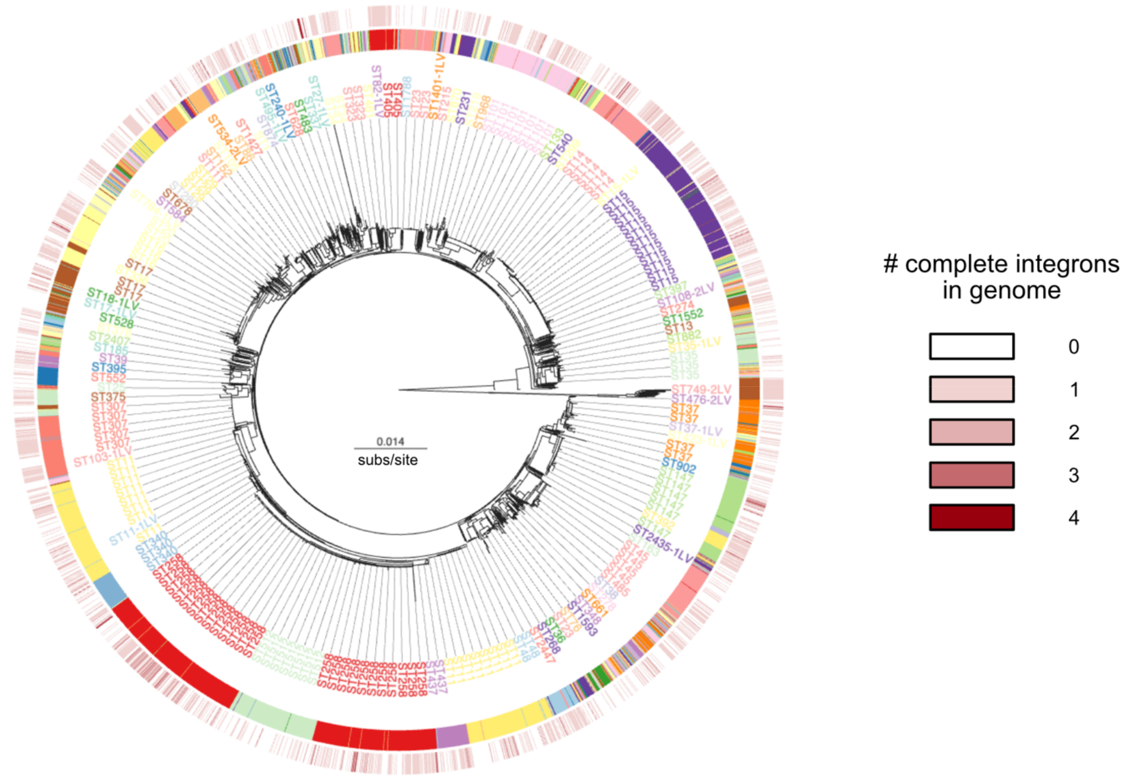 Microorganisms 10 00700 g003