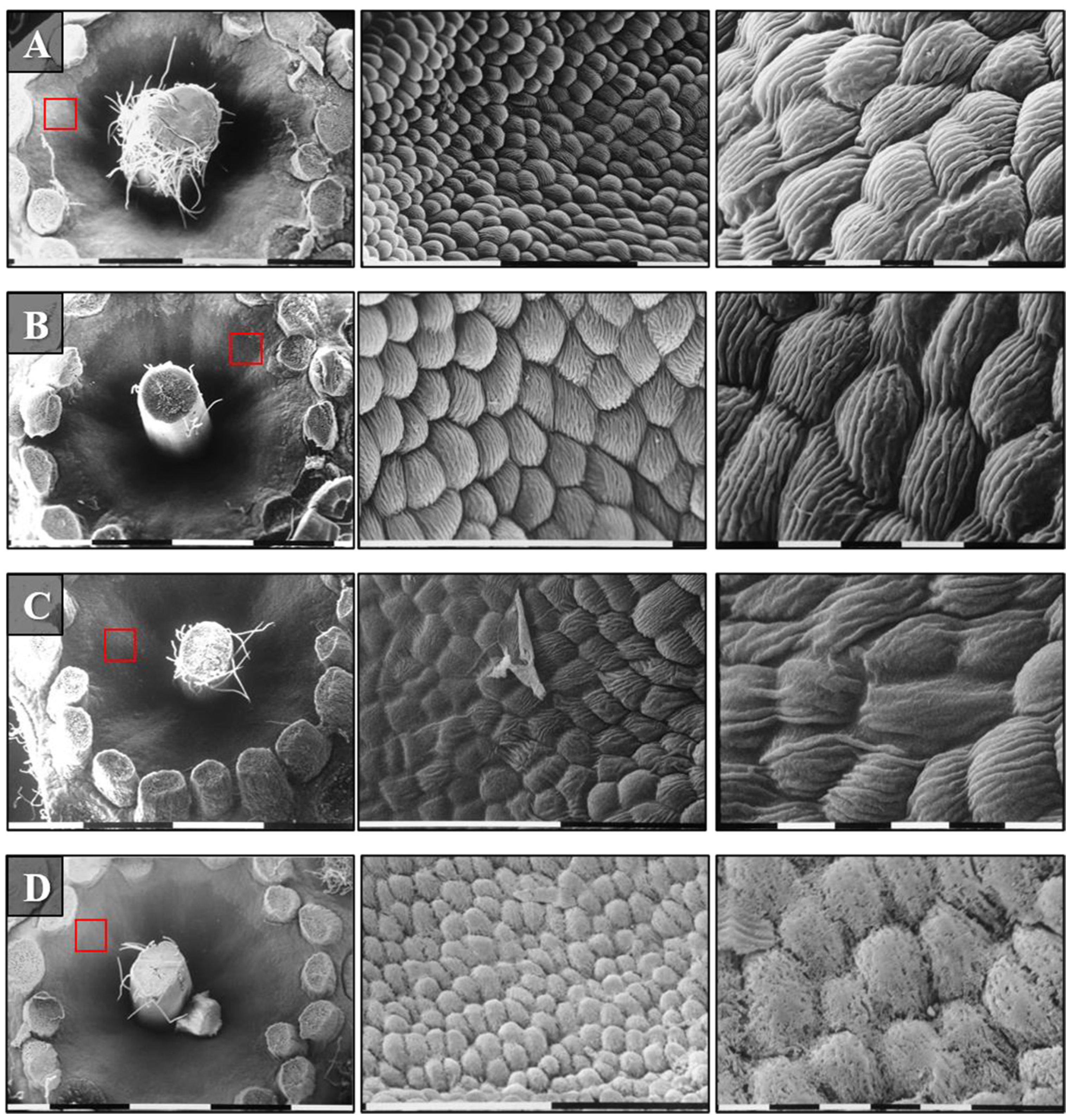 Microorganisms 10 00702 g008 Microorganisms 10 00702 g008