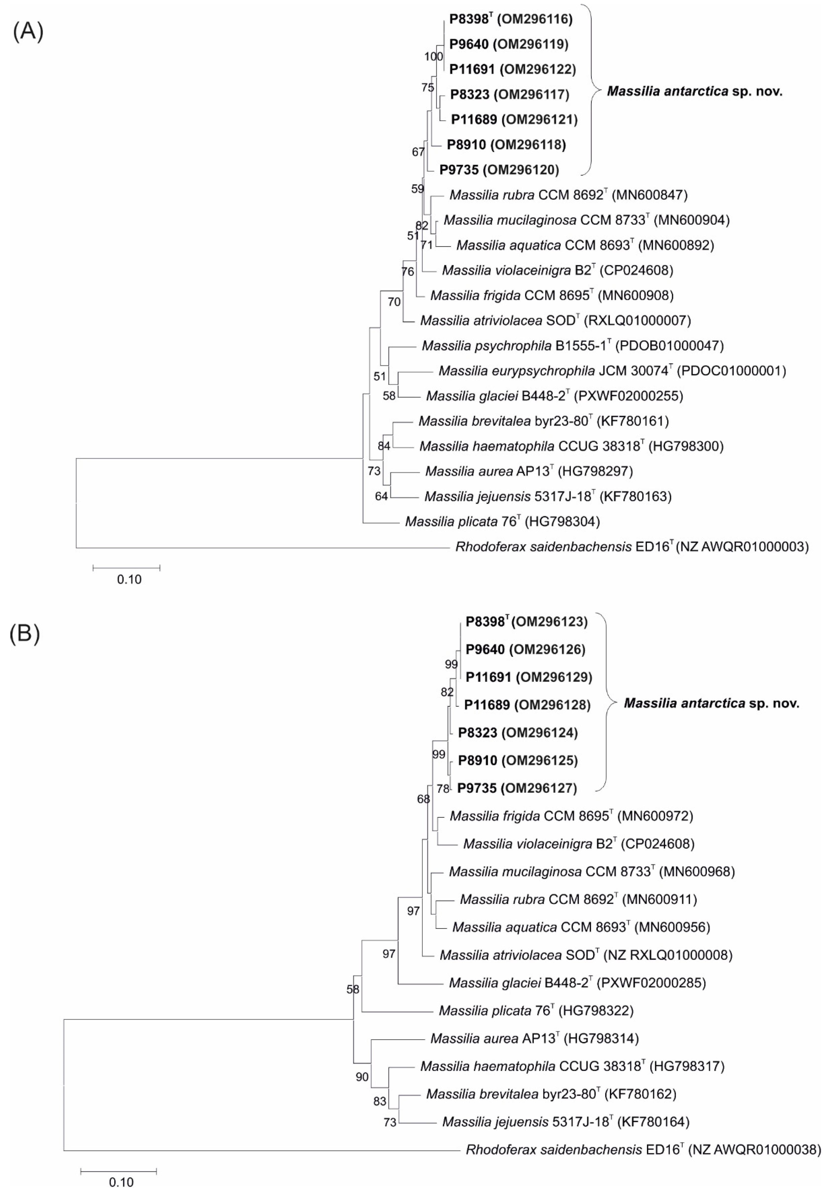 Microorganisms 10 00704 g001