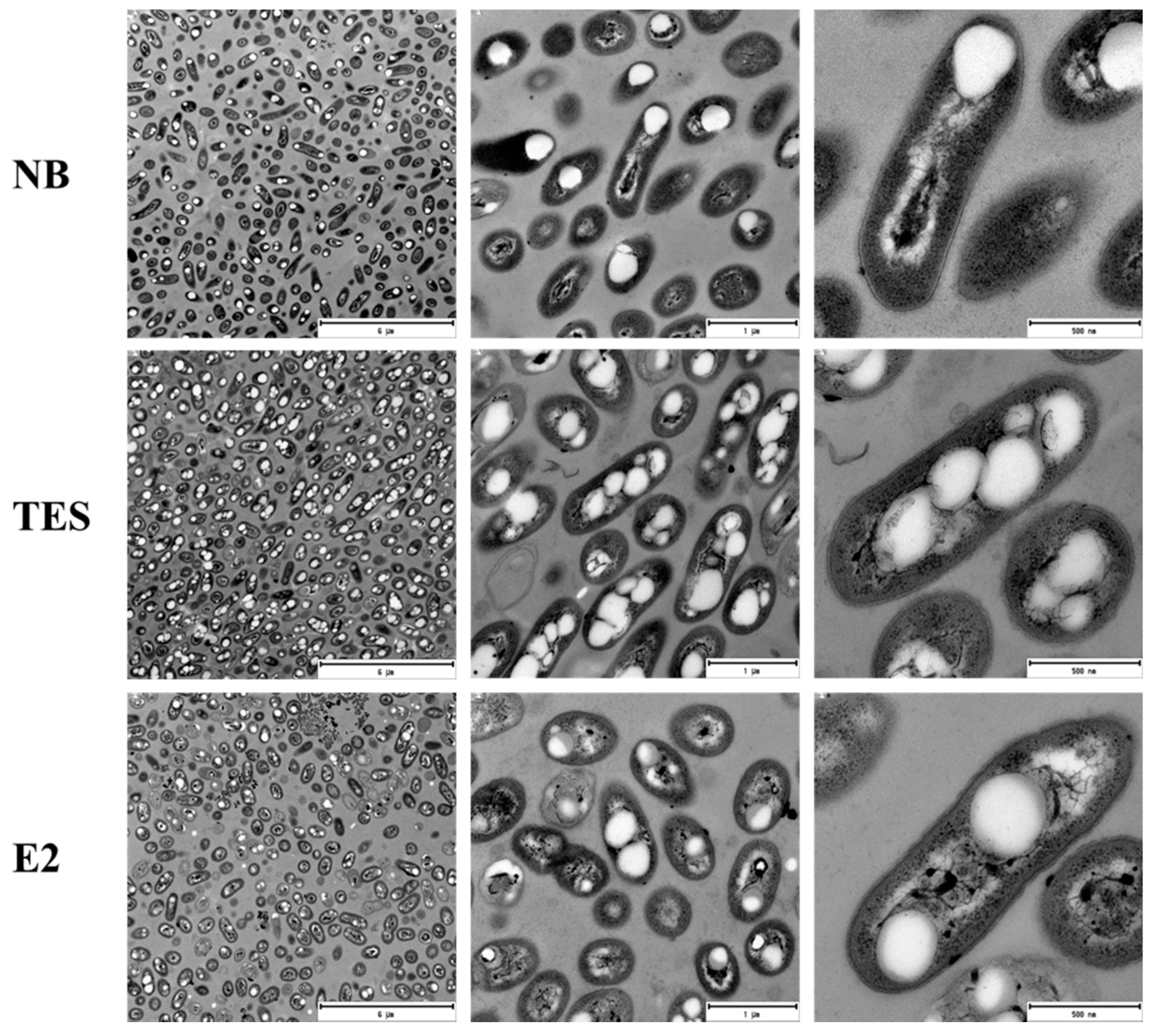 Microorganisms 10 00706 g001