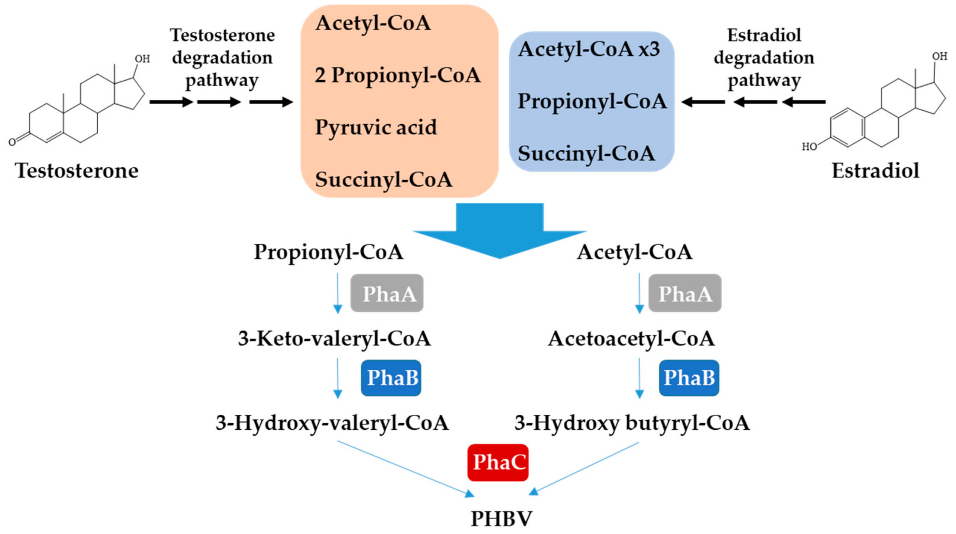 Microorganisms 10 00706 g004