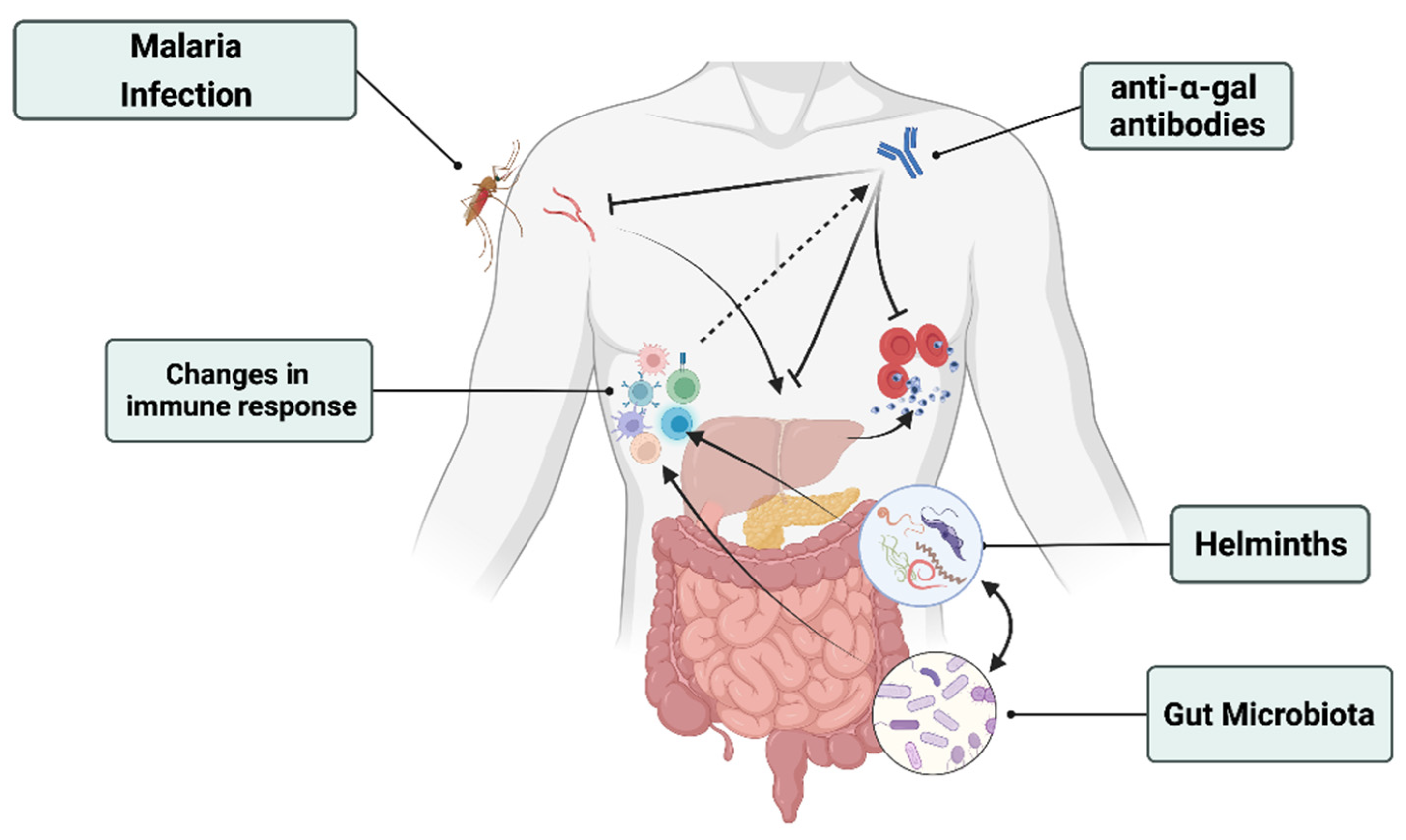 Microorganisms 10 00721 g001