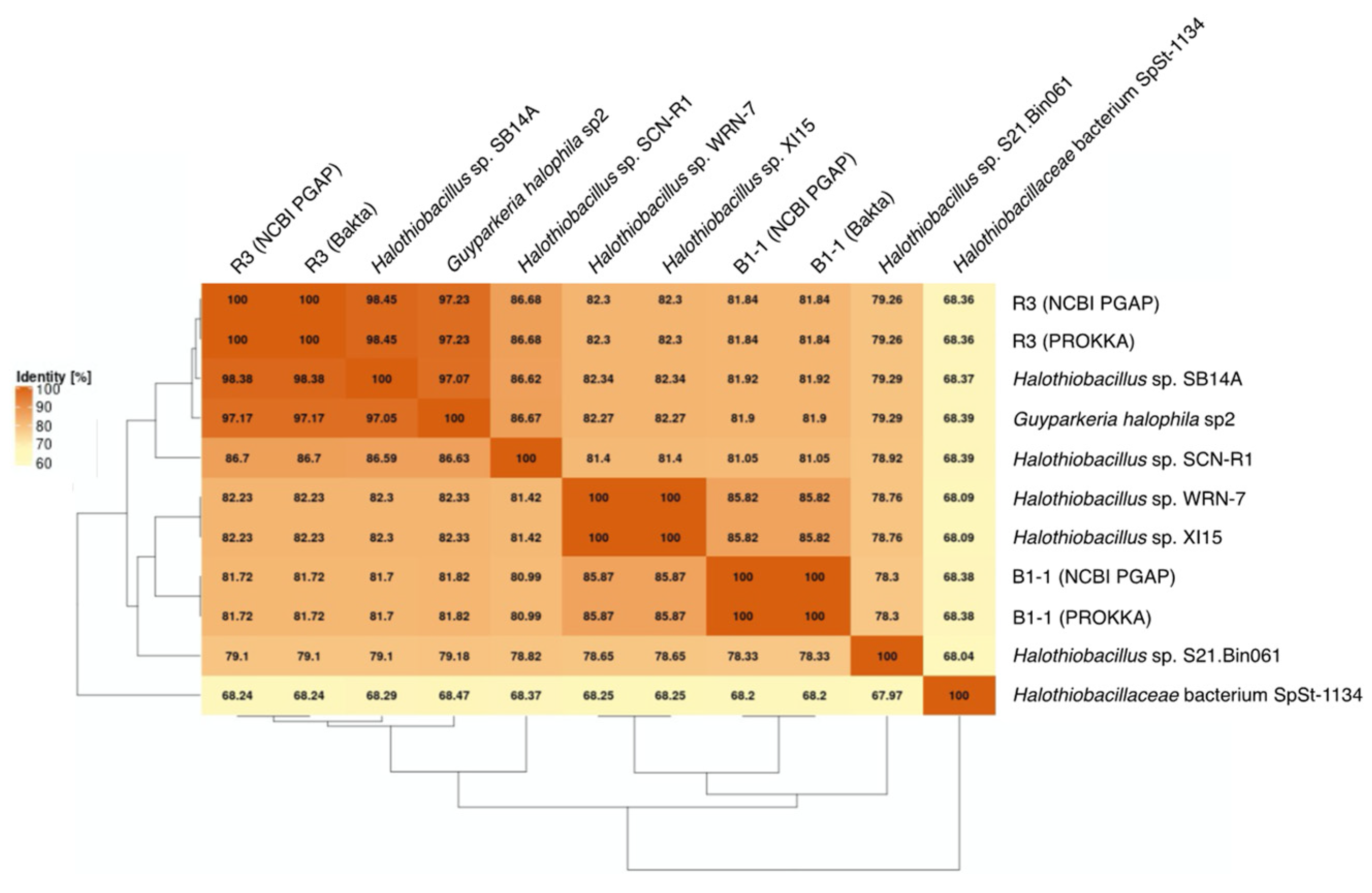 Microorganisms 10 00724 g003
