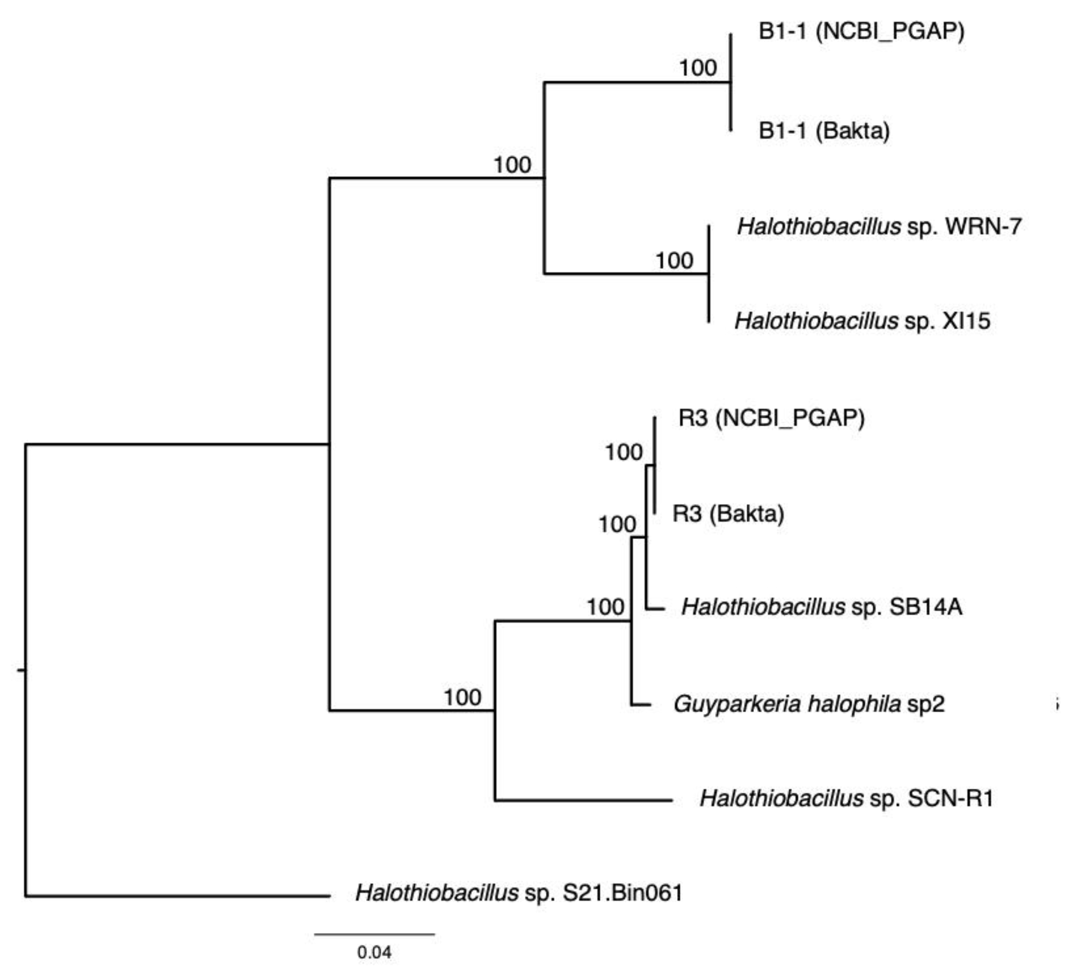 Microorganisms 10 00724 g004