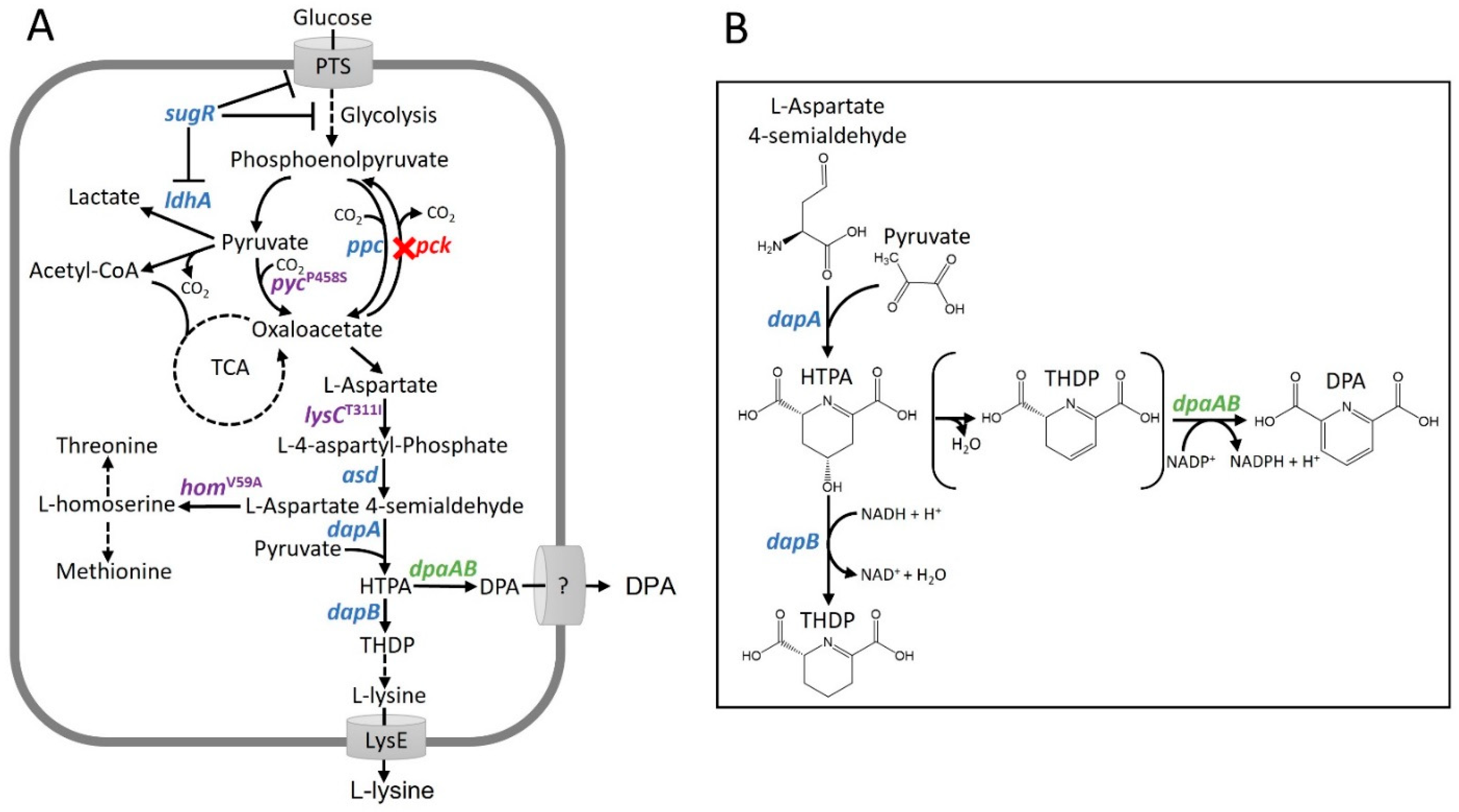 Microorganisms 10 00730 g001