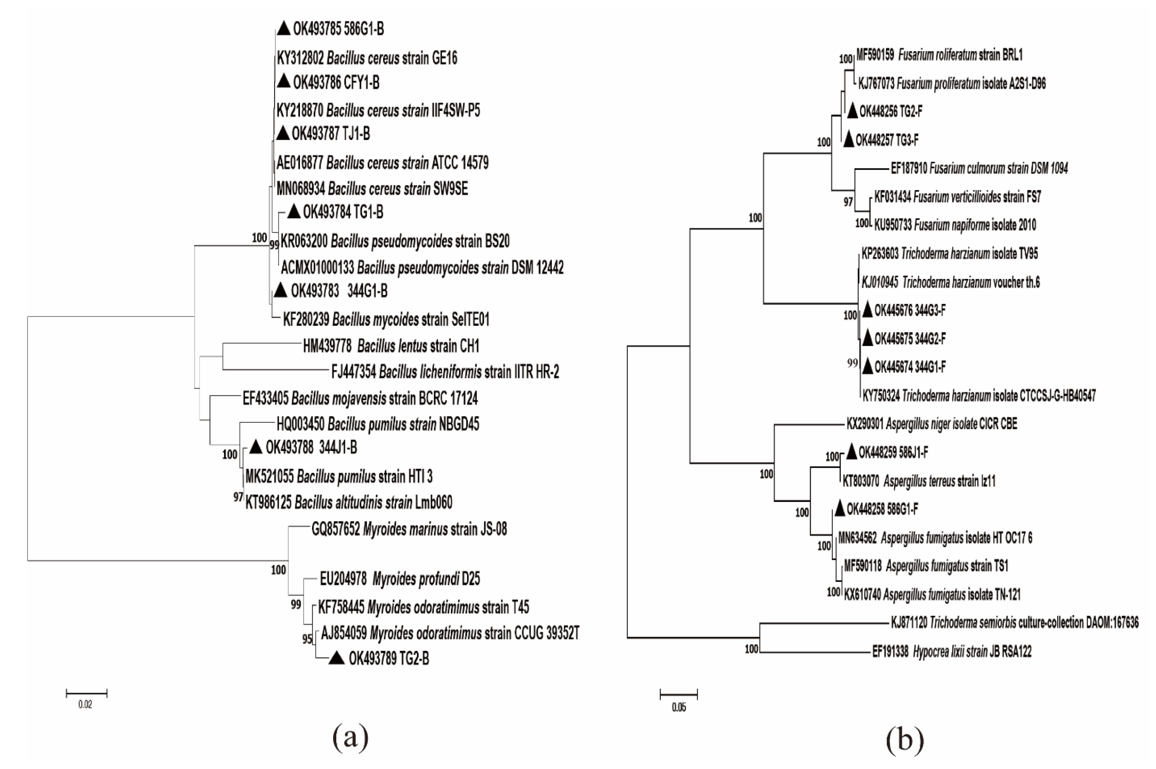 Microorganisms 10 00731 g002