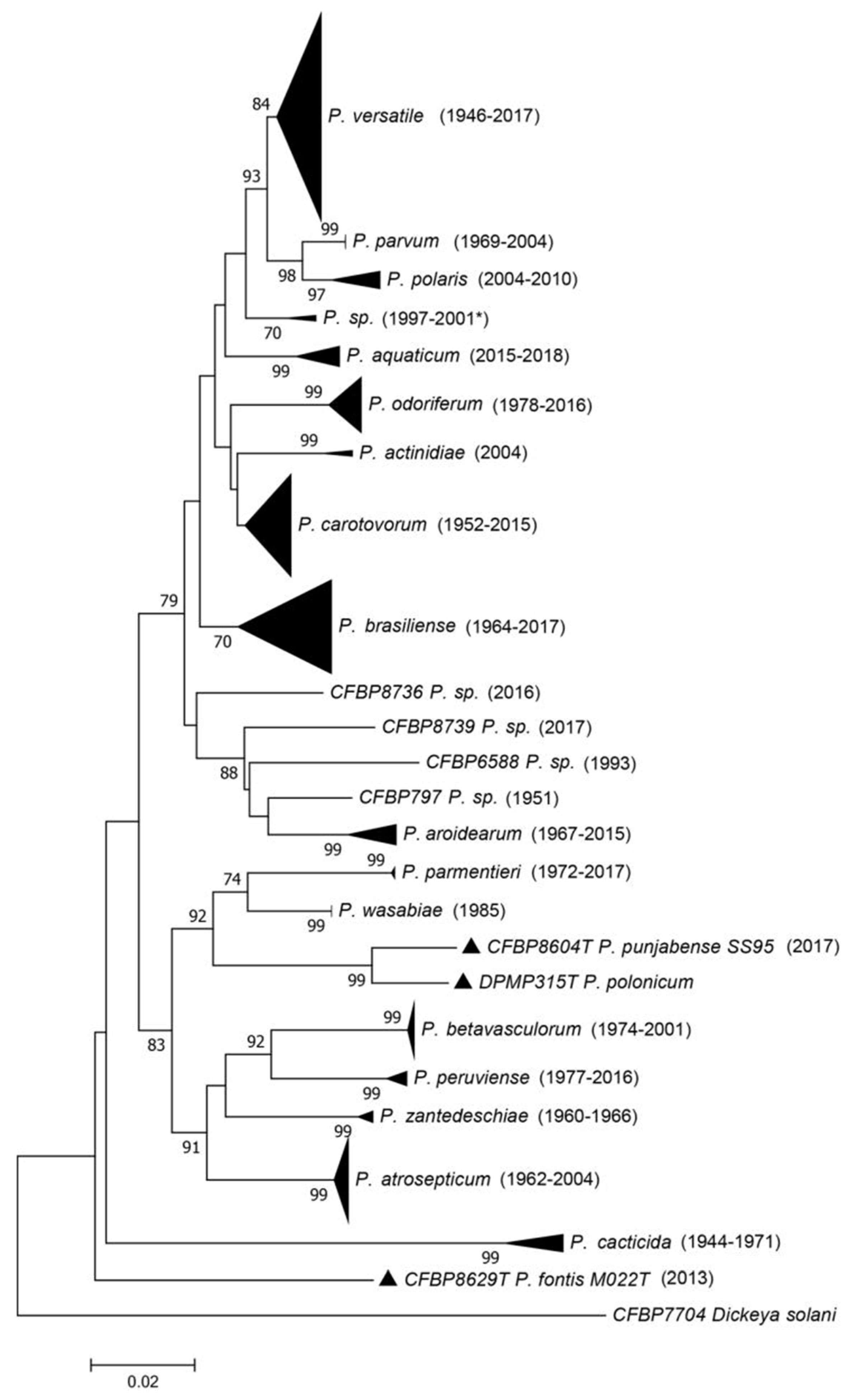Microorganisms 10 00741 g001
