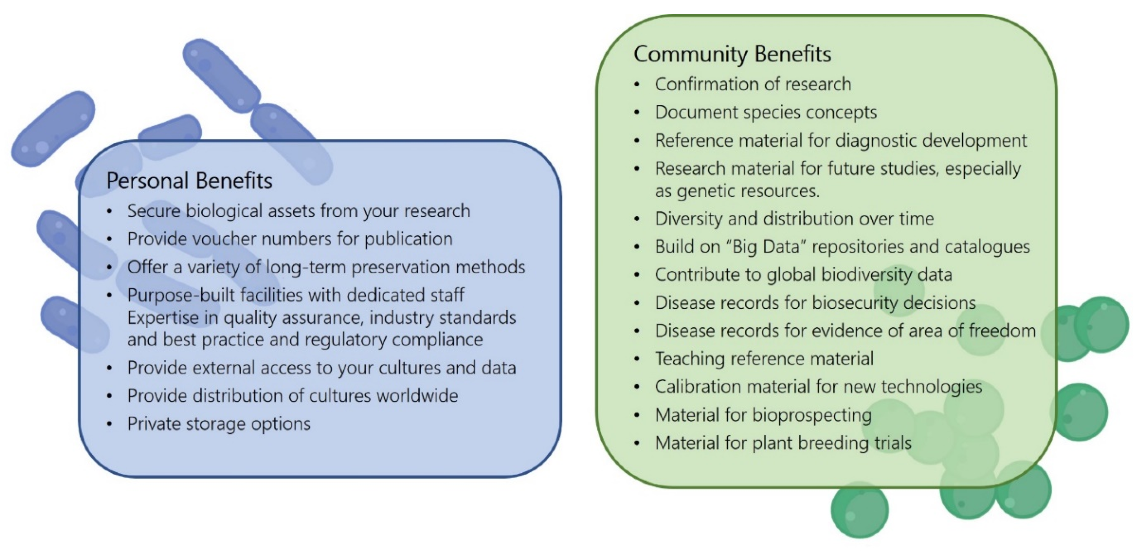 Microorganisms 10 00741 g004