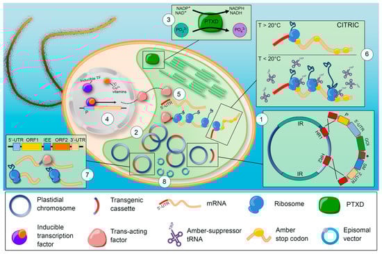 Microorganisms 10 00743 g001