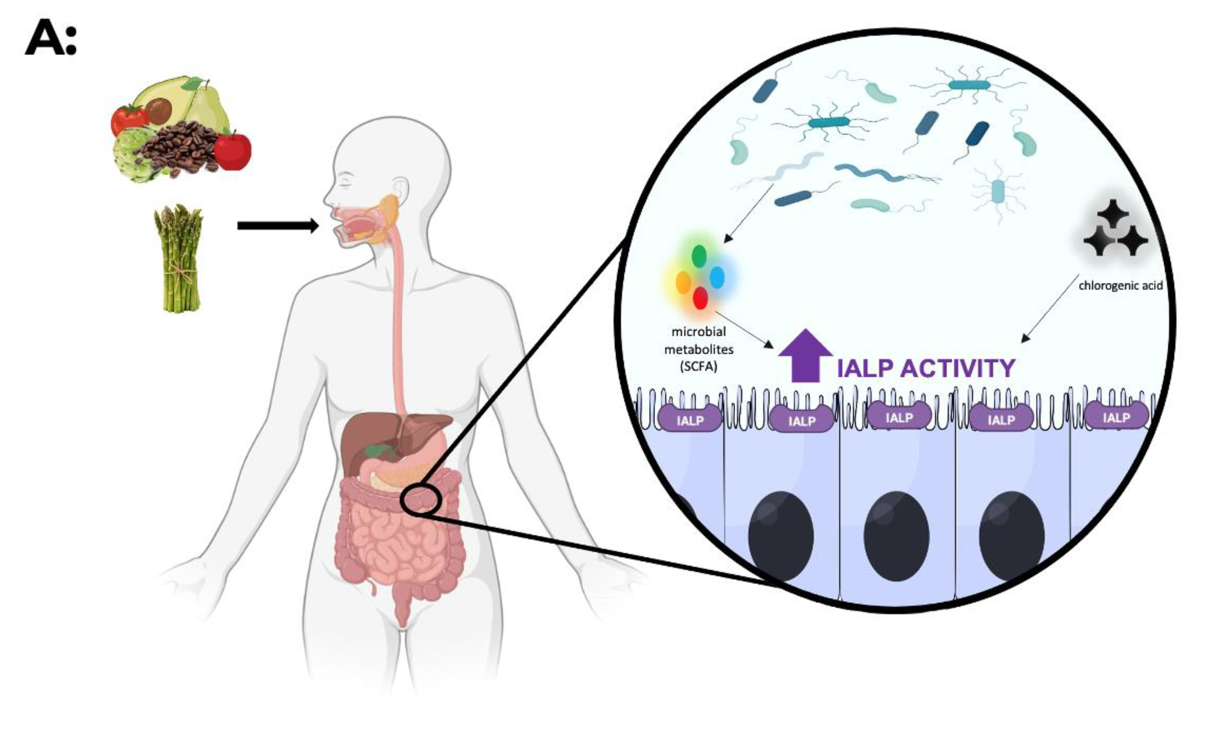 Microorganisms 10 00746 g002a