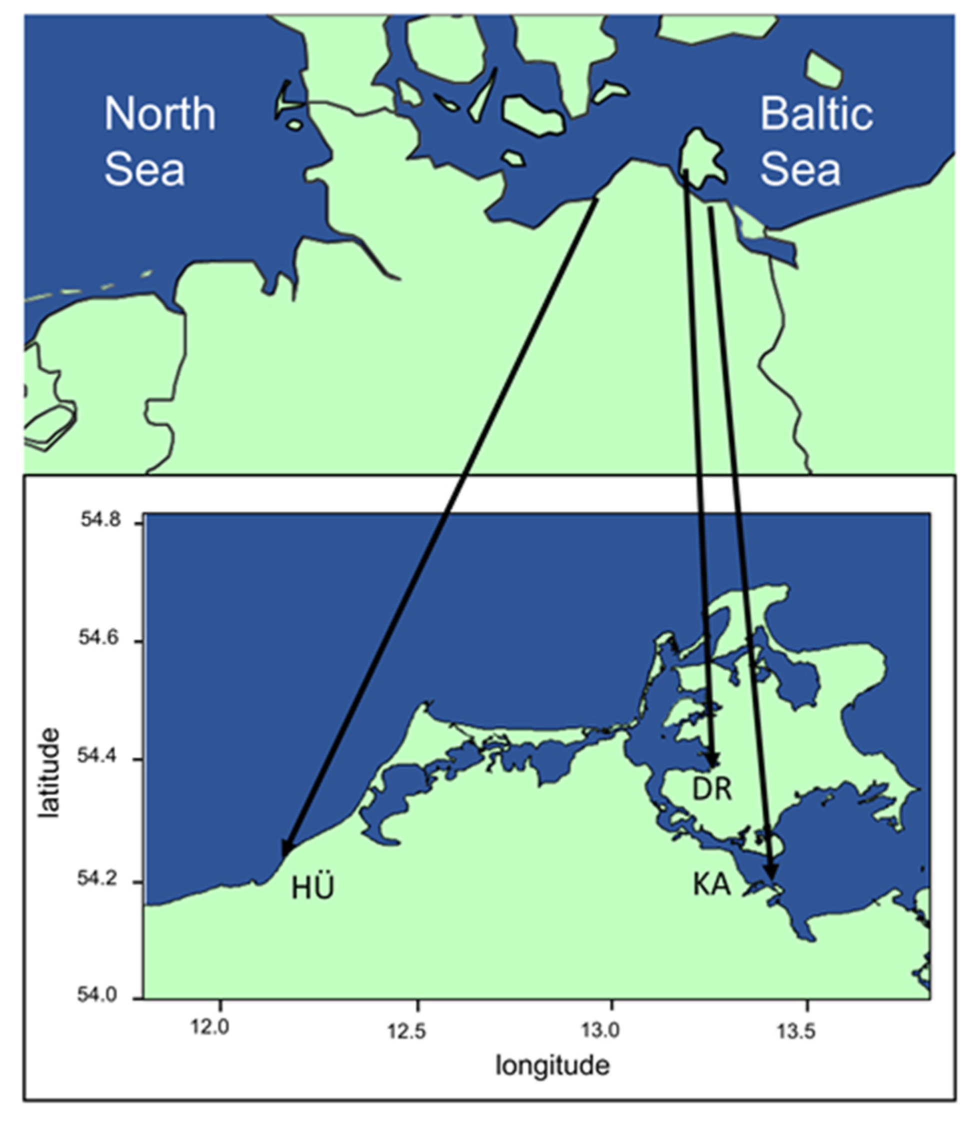 Microorganisms 10 00749 g001