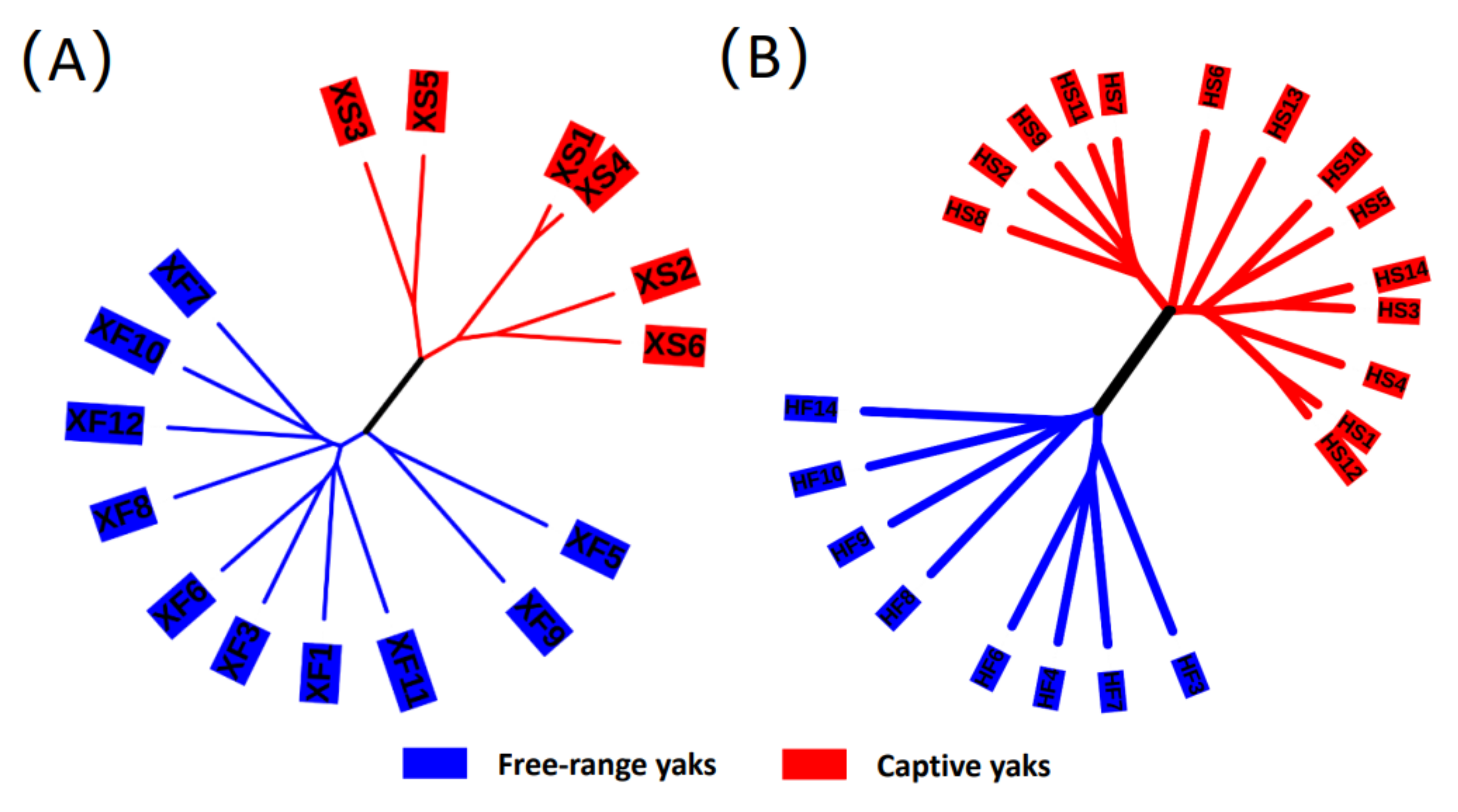 Microorganisms 10 00754 g004