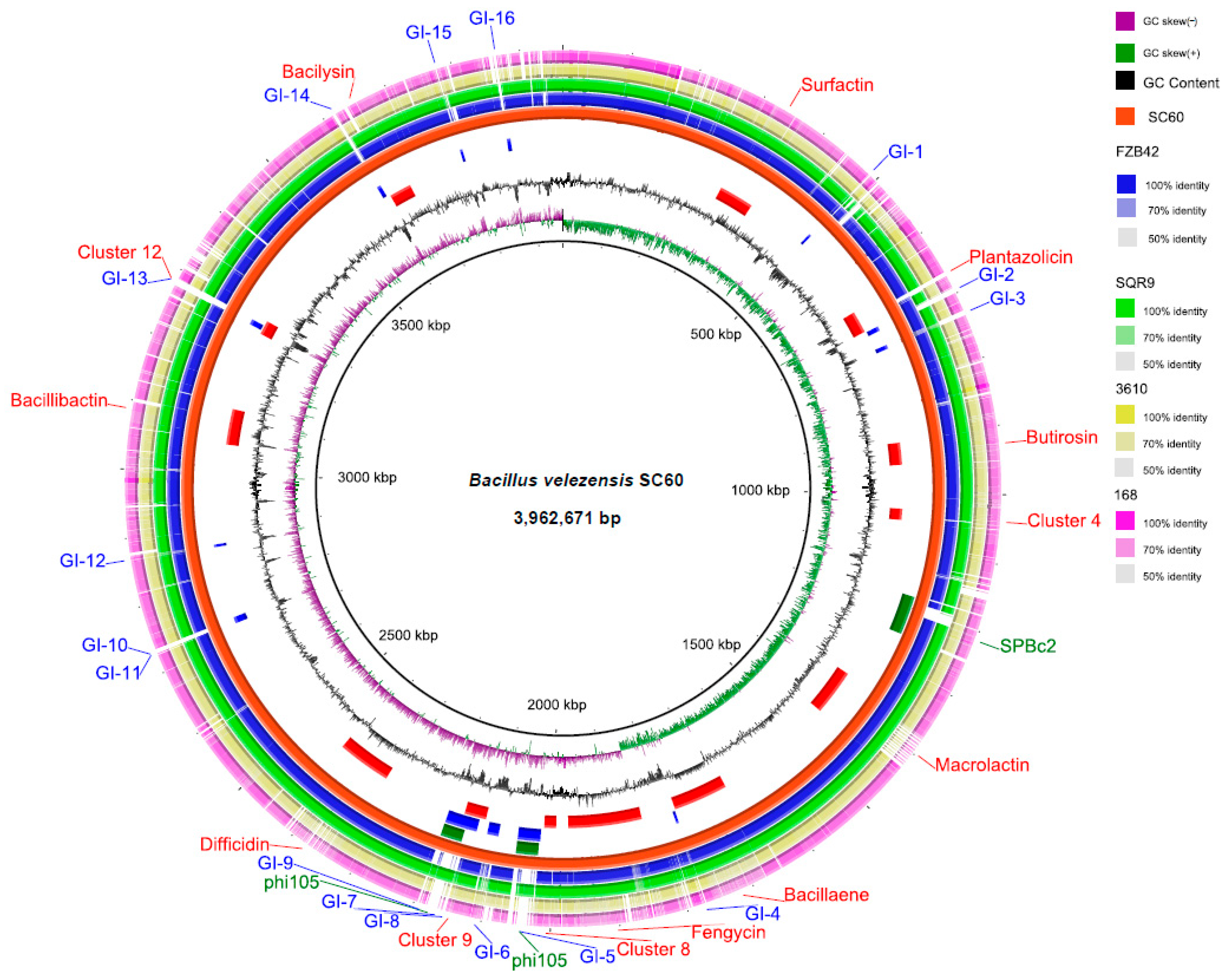 Microorganisms 10 00767 g001 Microorganisms 10 00767 g001