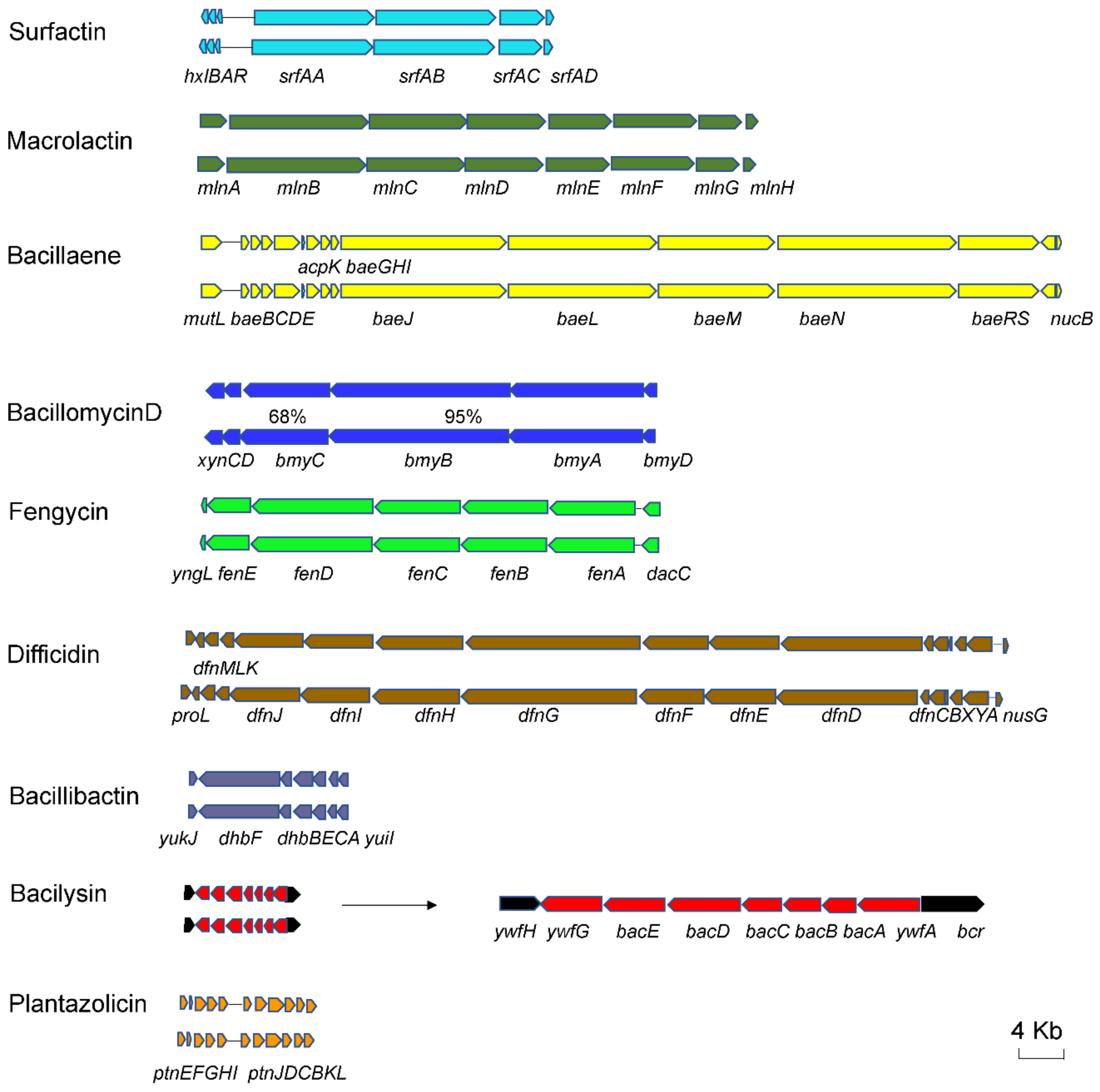 Microorganisms 10 00767 g004 Microorganisms 10 00767 g004