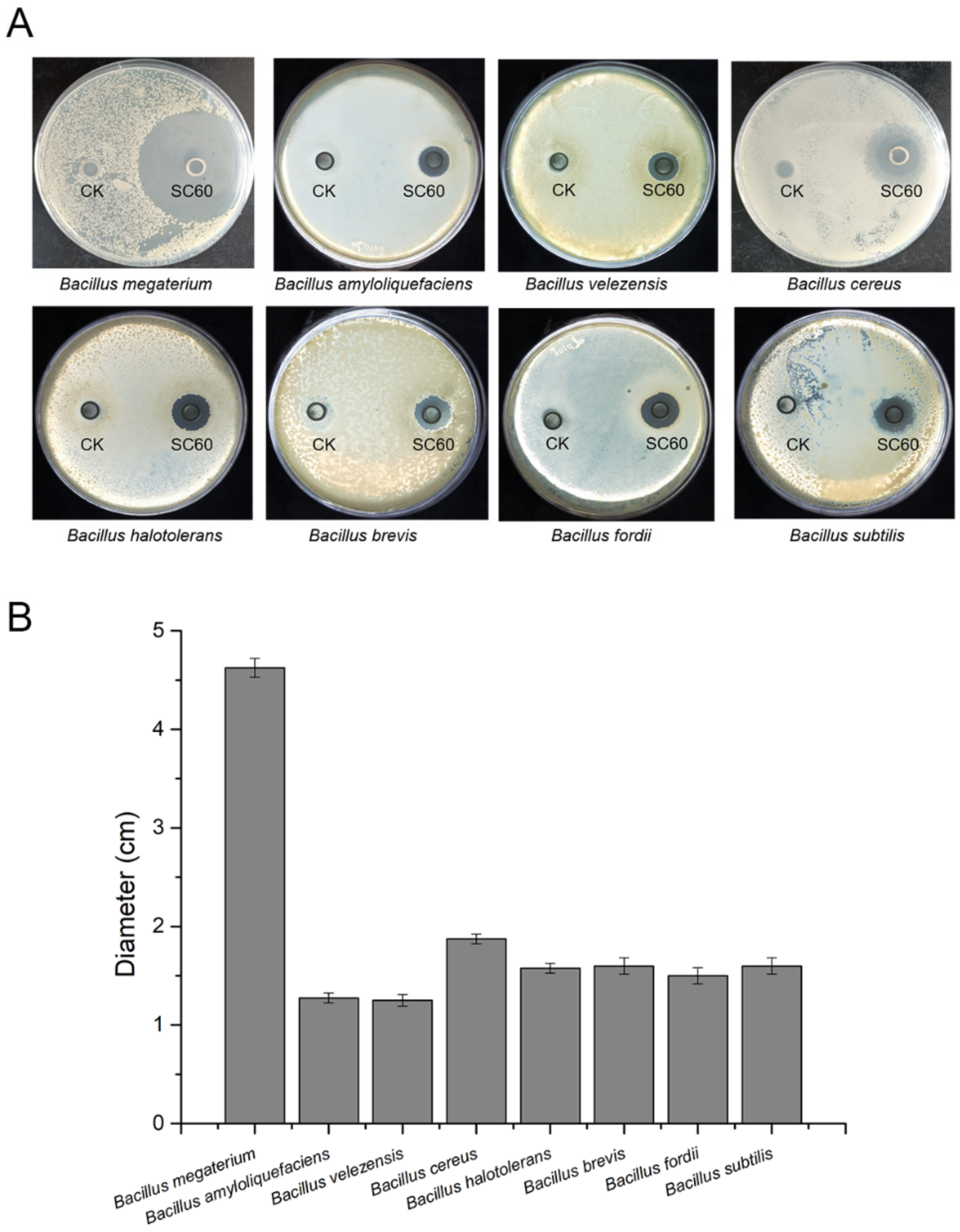 Microorganisms 10 00767 g006 Microorganisms 10 00767 g006