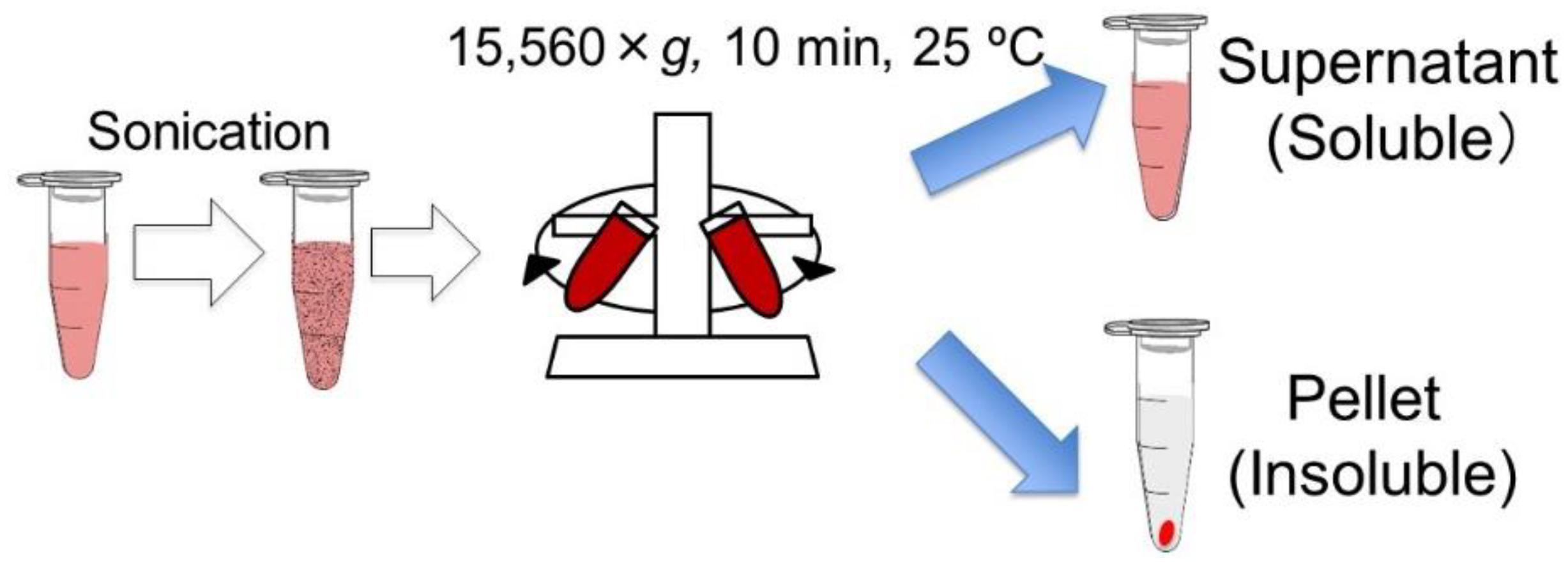 Microorganisms 10 00771 g001