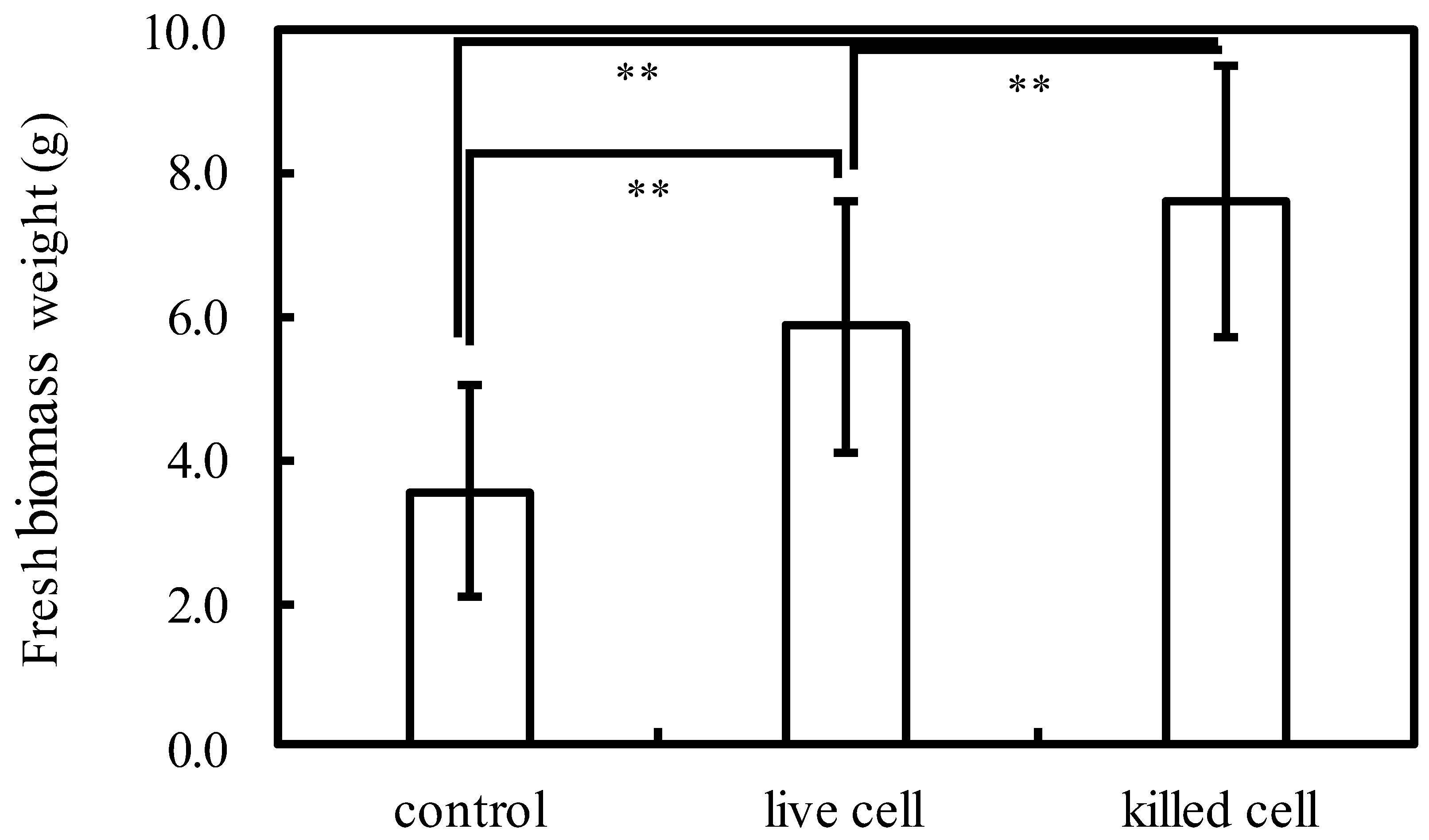 Microorganisms 10 00771 g002