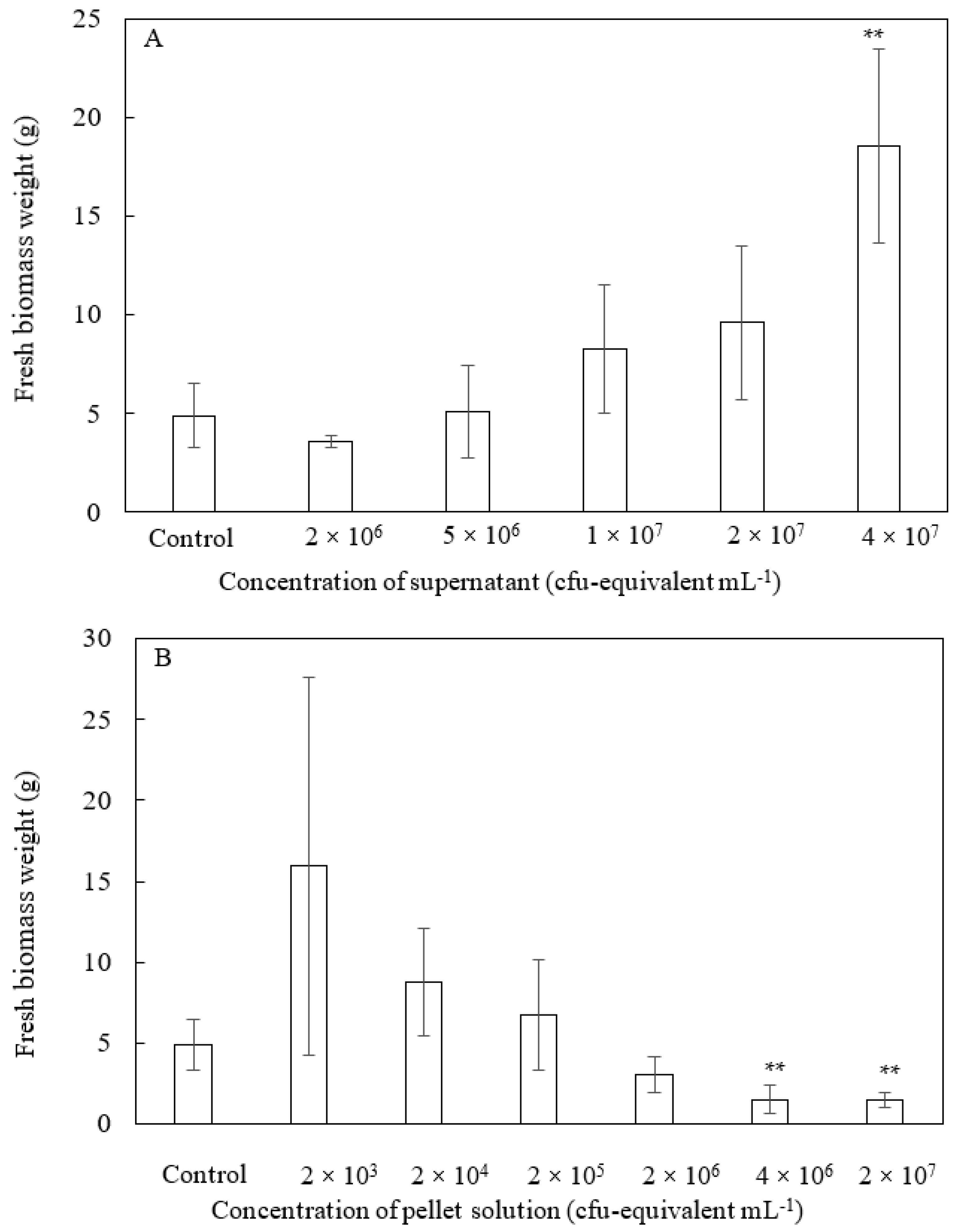 Microorganisms 10 00771 g004