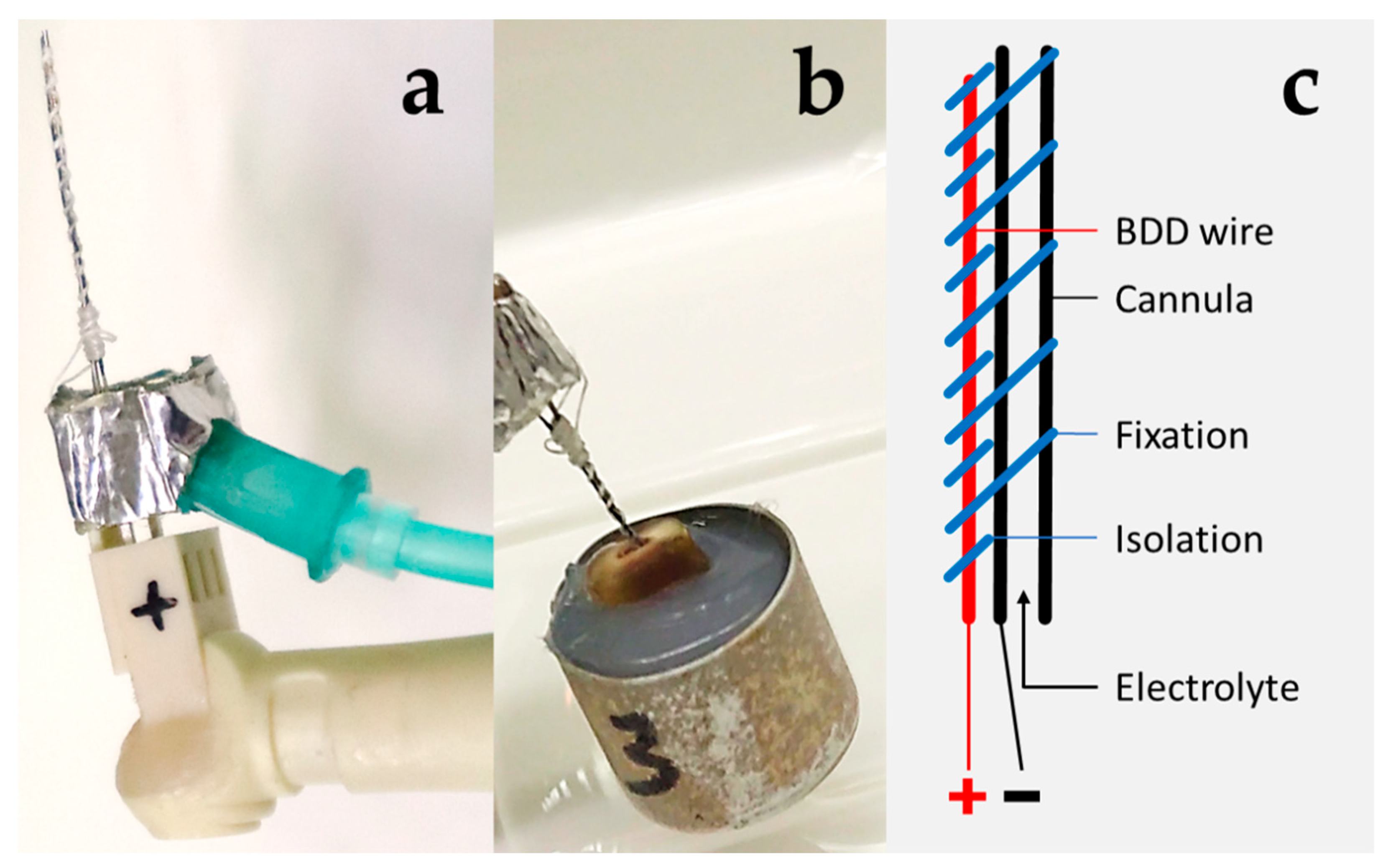 Microorganisms 10 00782 g001
