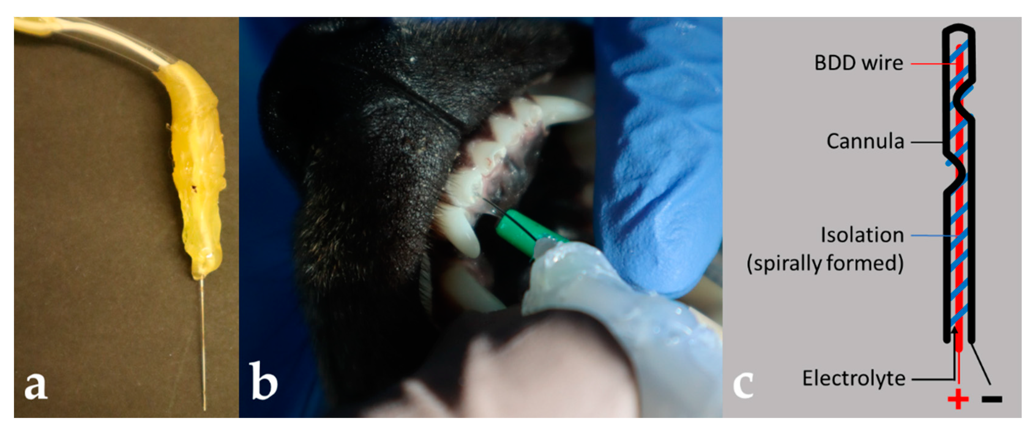 Microorganisms 10 00782 g002