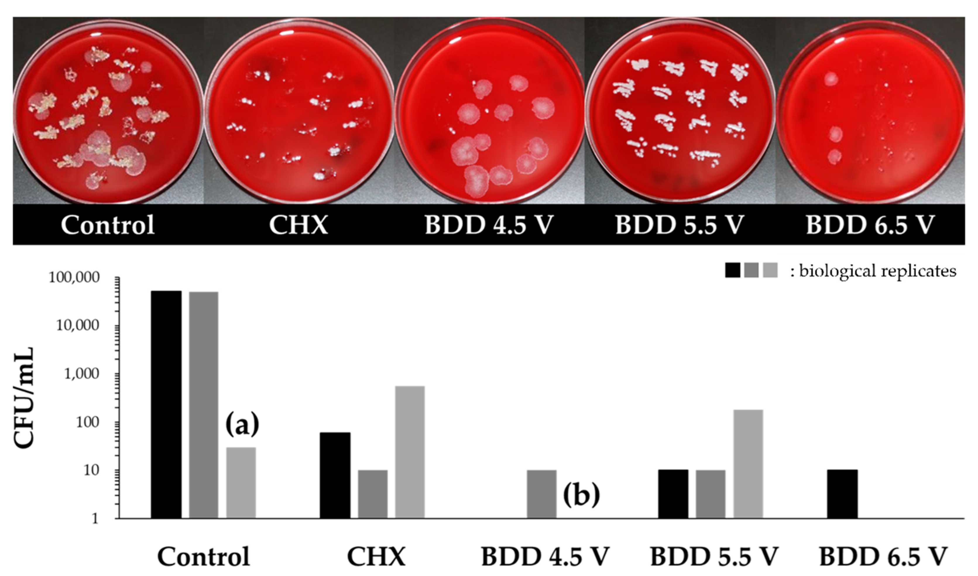 Microorganisms 10 00782 g005