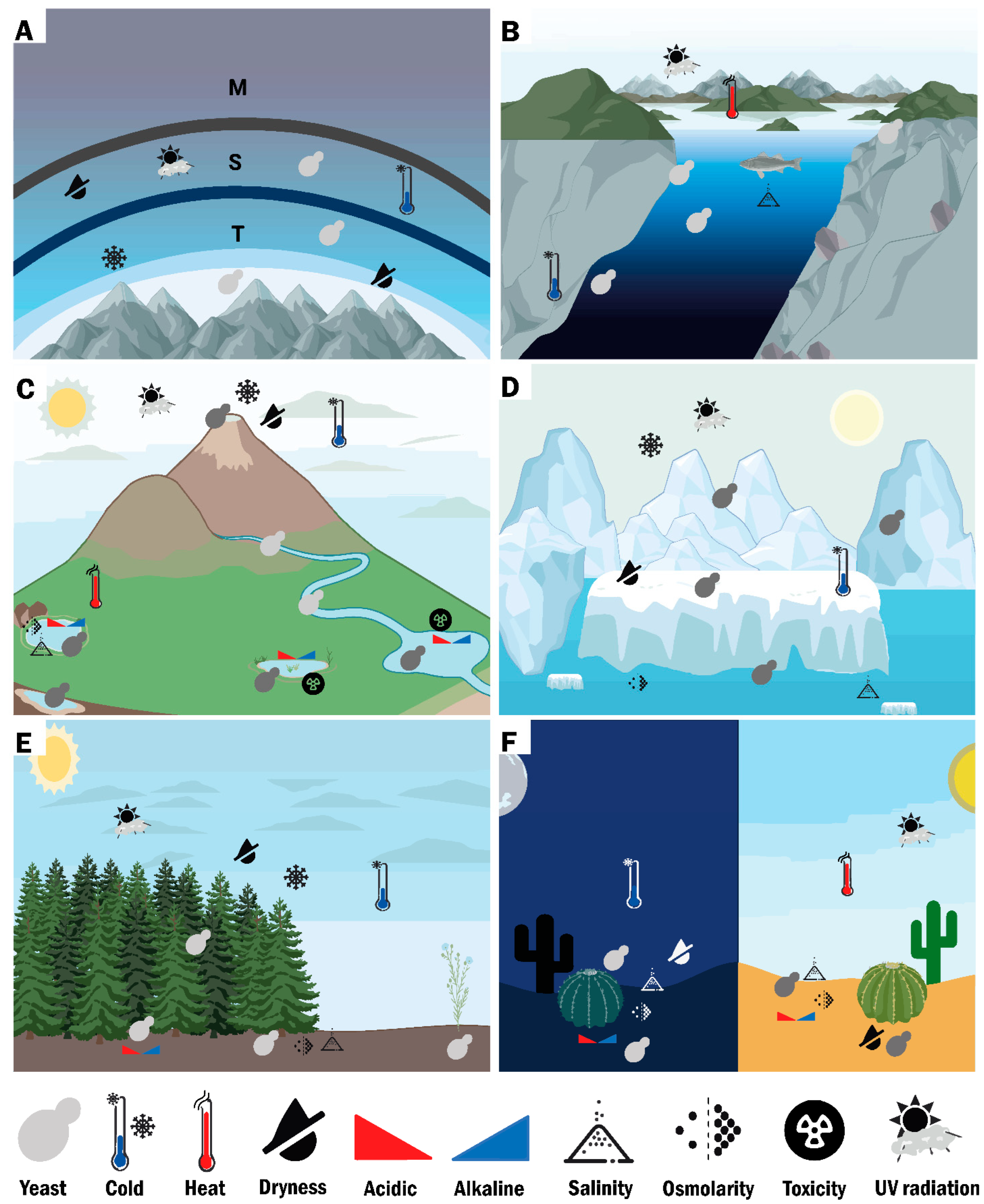 Microorganisms 10 00794 g001