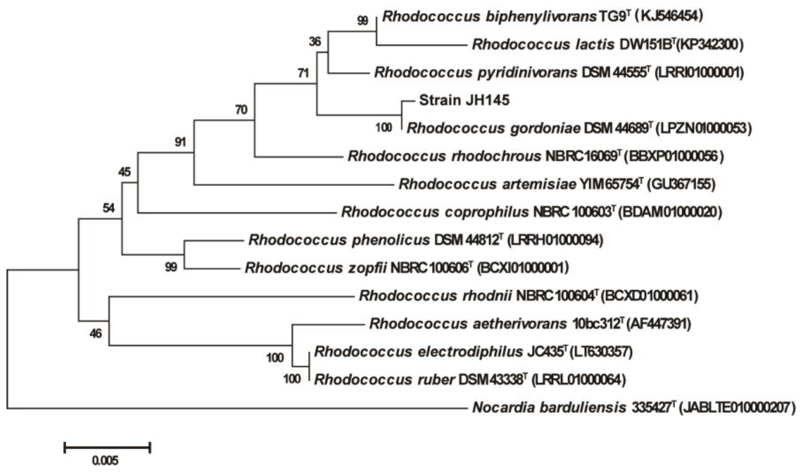 Microorganisms 10 00797 g001