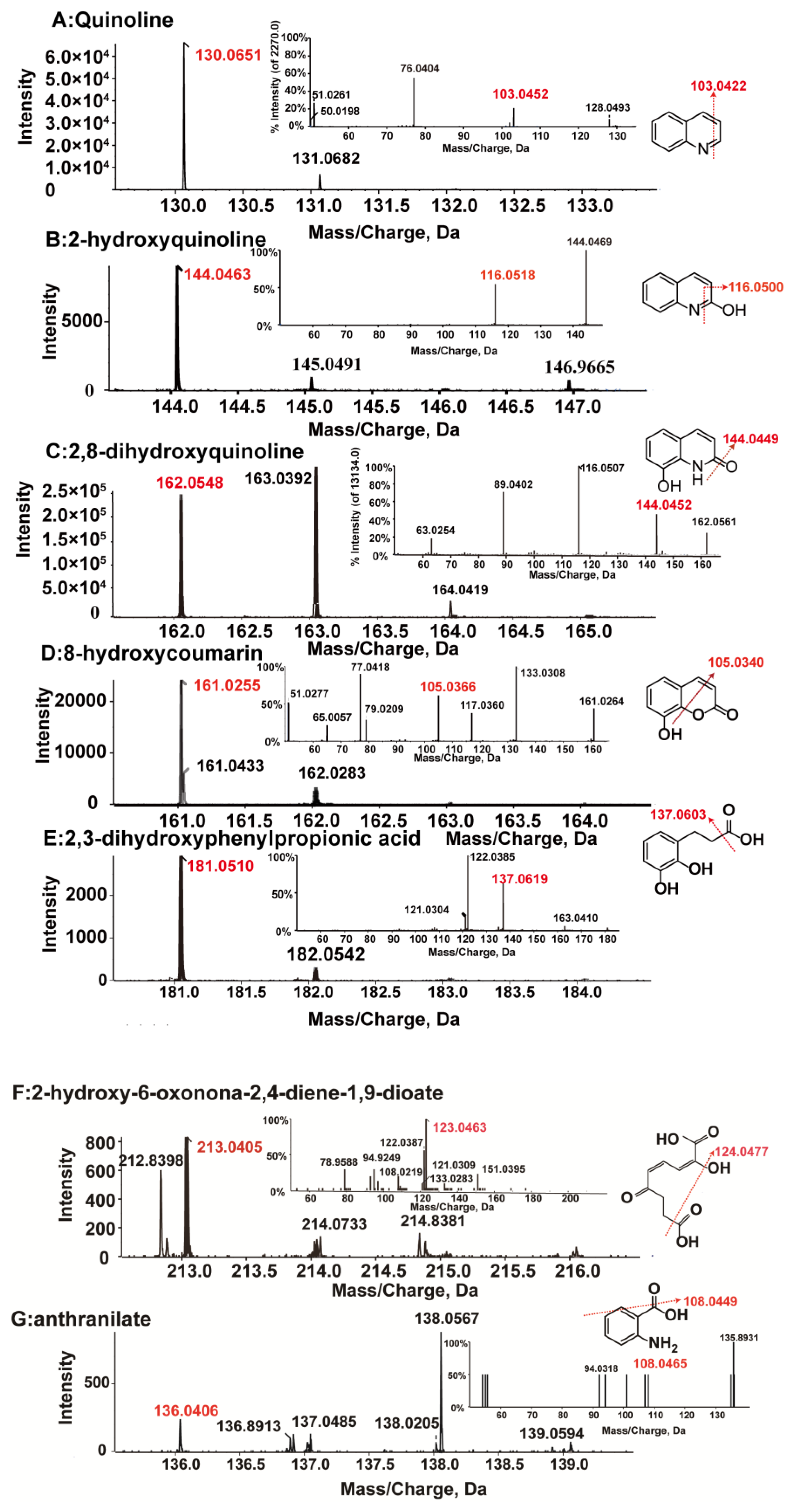 Microorganisms 10 00797 g004
