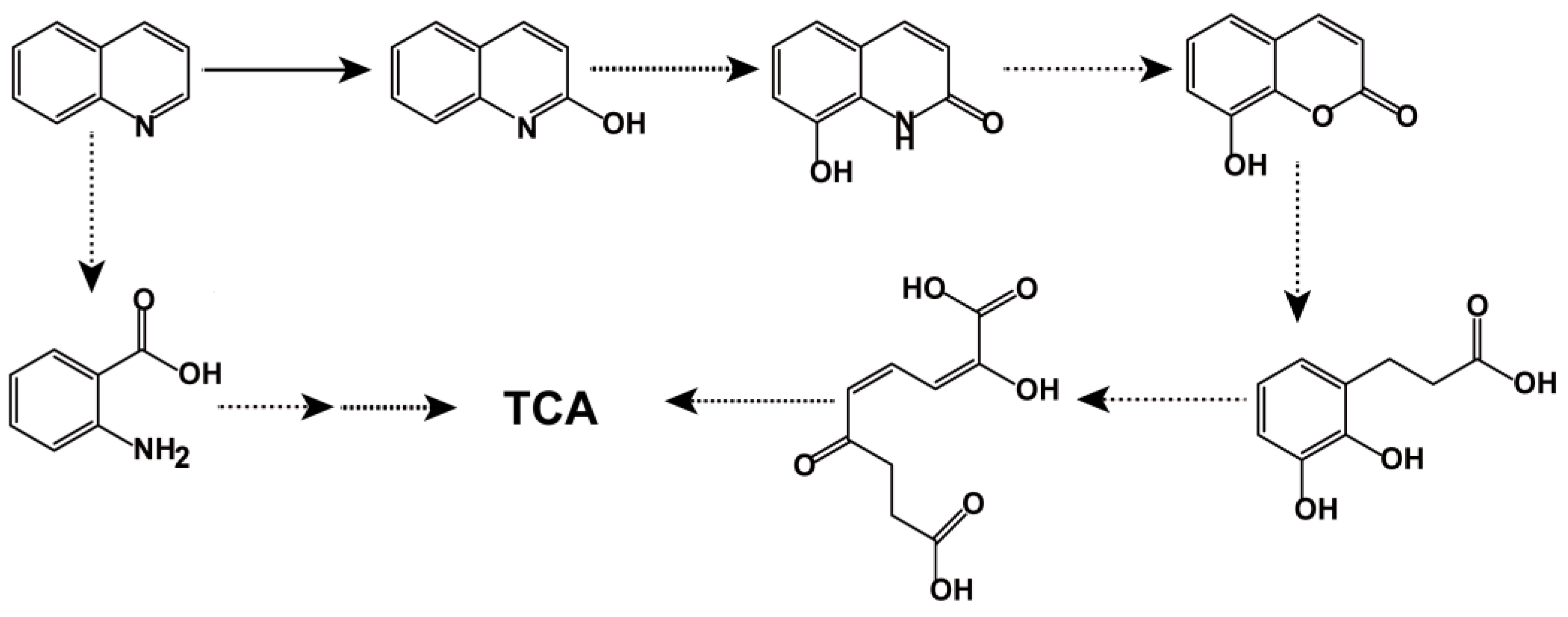 Microorganisms 10 00797 g005