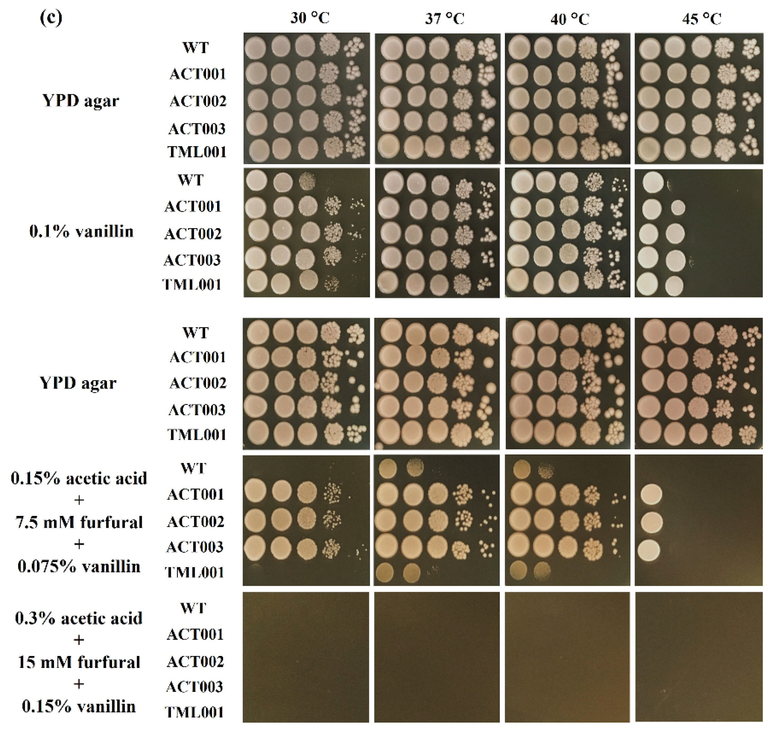 Microorganisms 10 00798 g003b