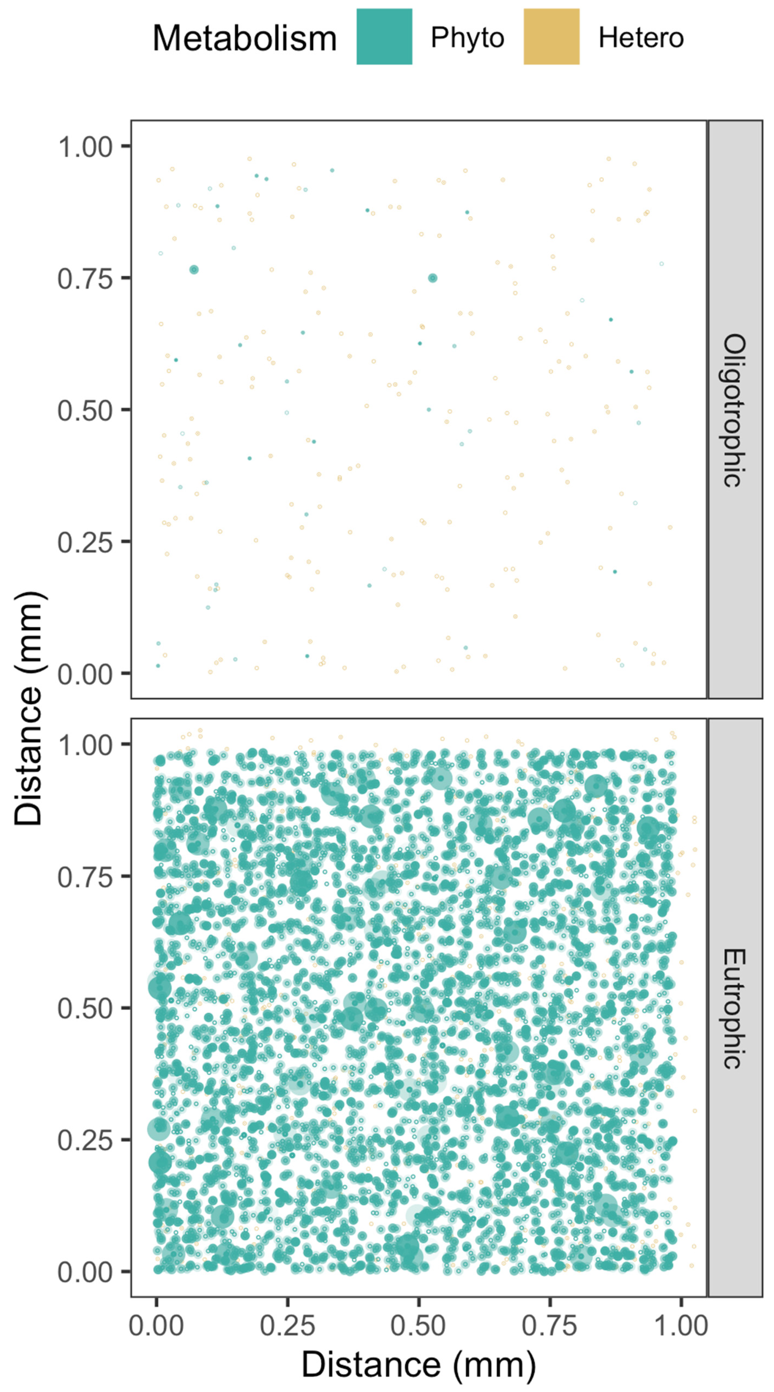 Microorganisms 10 00821 g003 Microorganisms 10 00821 g003