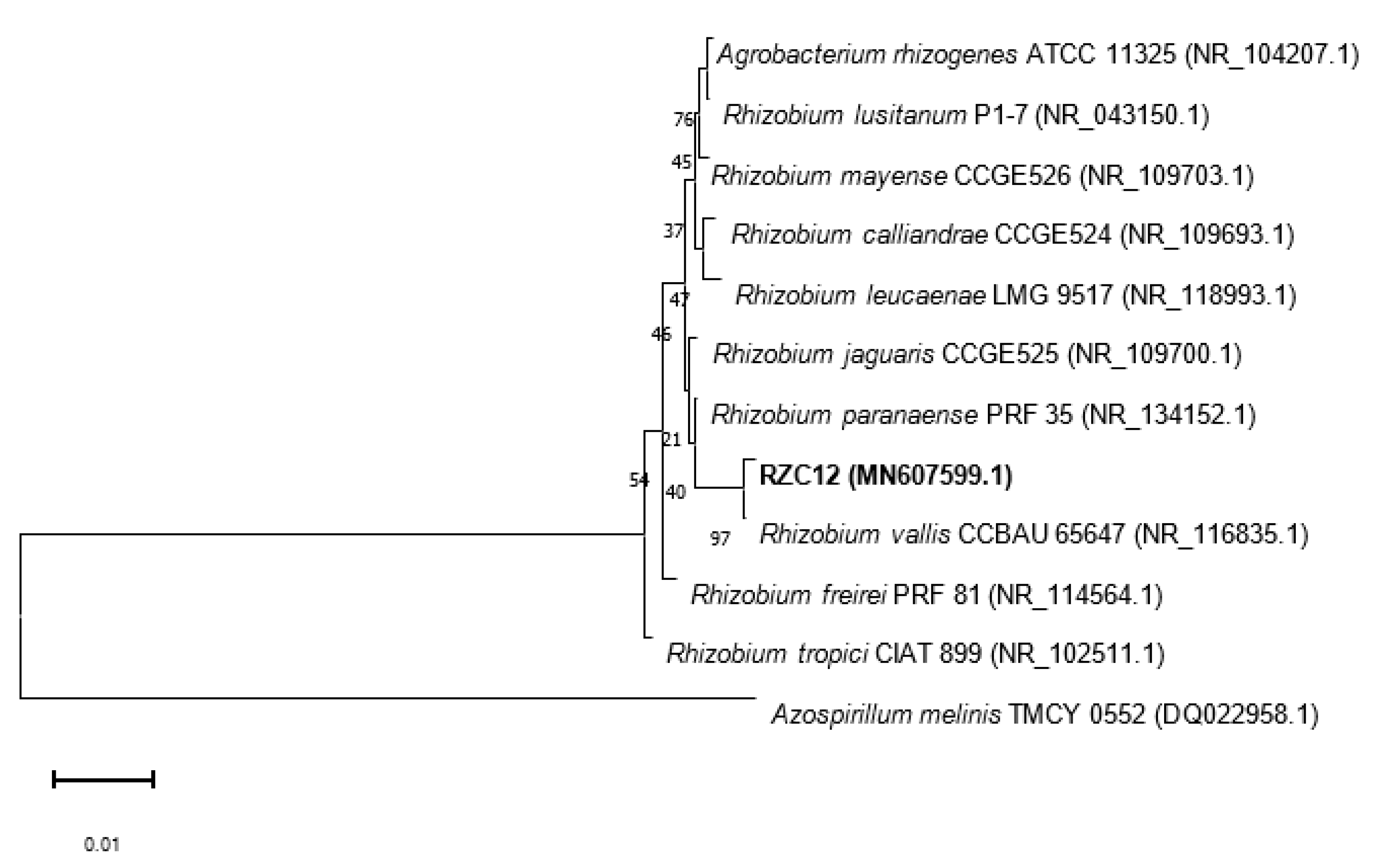 Microorganisms 10 00823 g005