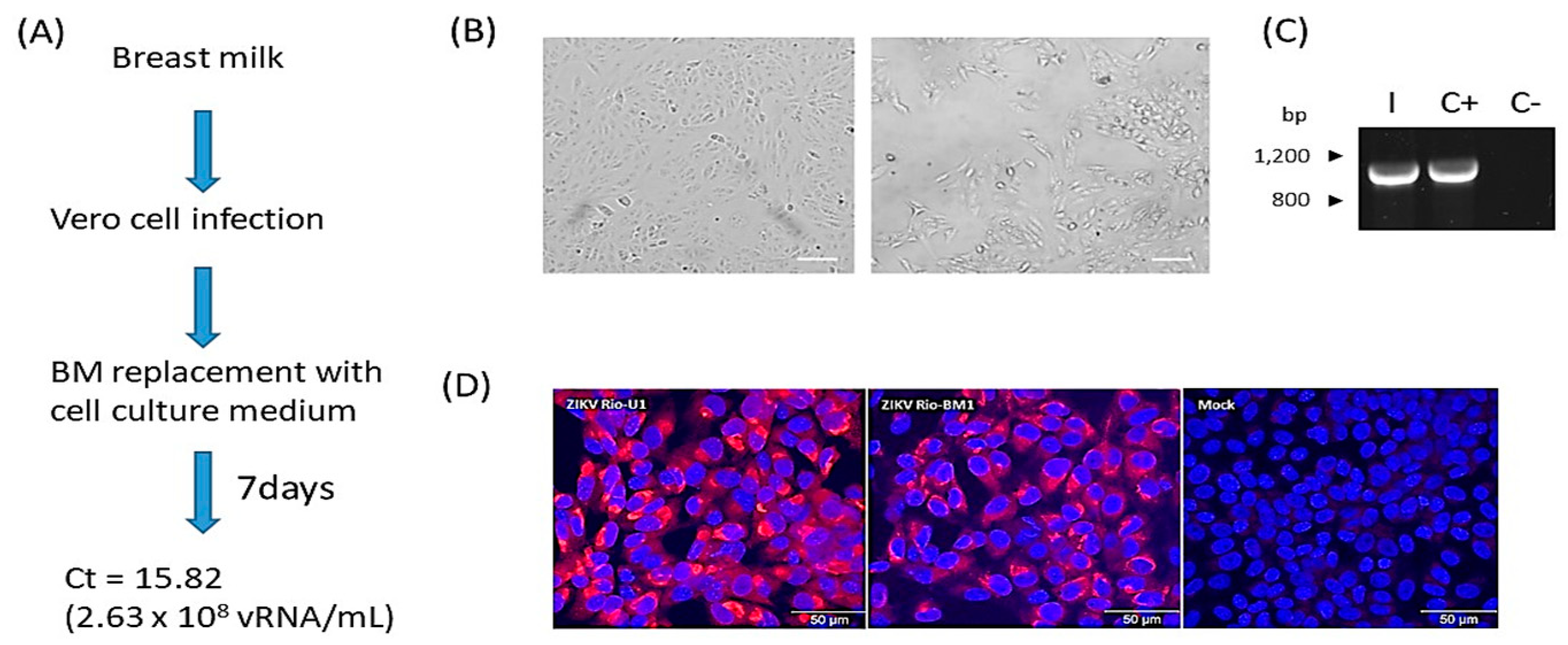 Microorganisms 10 00854 g001 Microorganisms 10 00854 g001