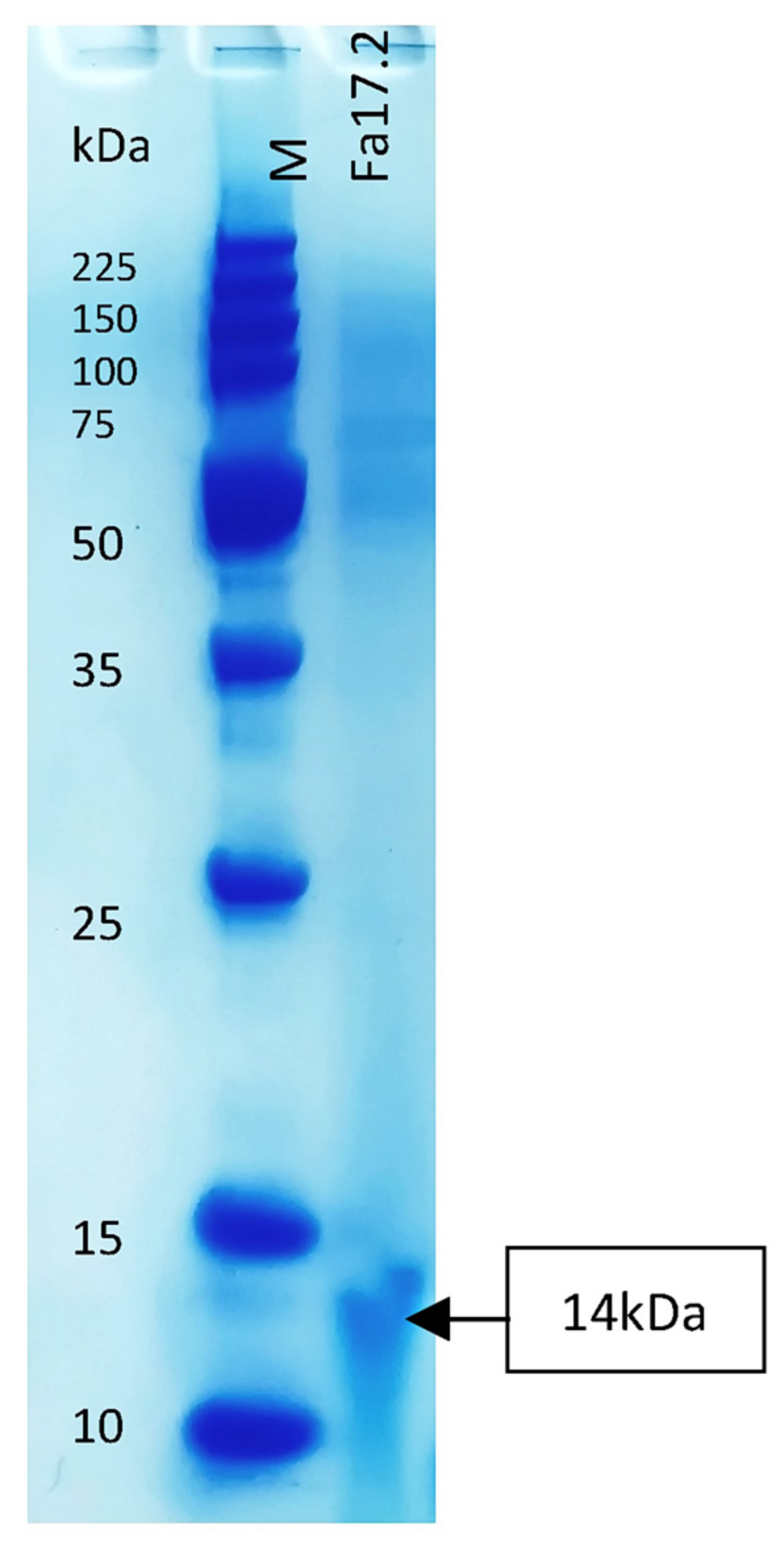 Microorganisms 10 00860 g007 Microorganisms 10 00860 g007