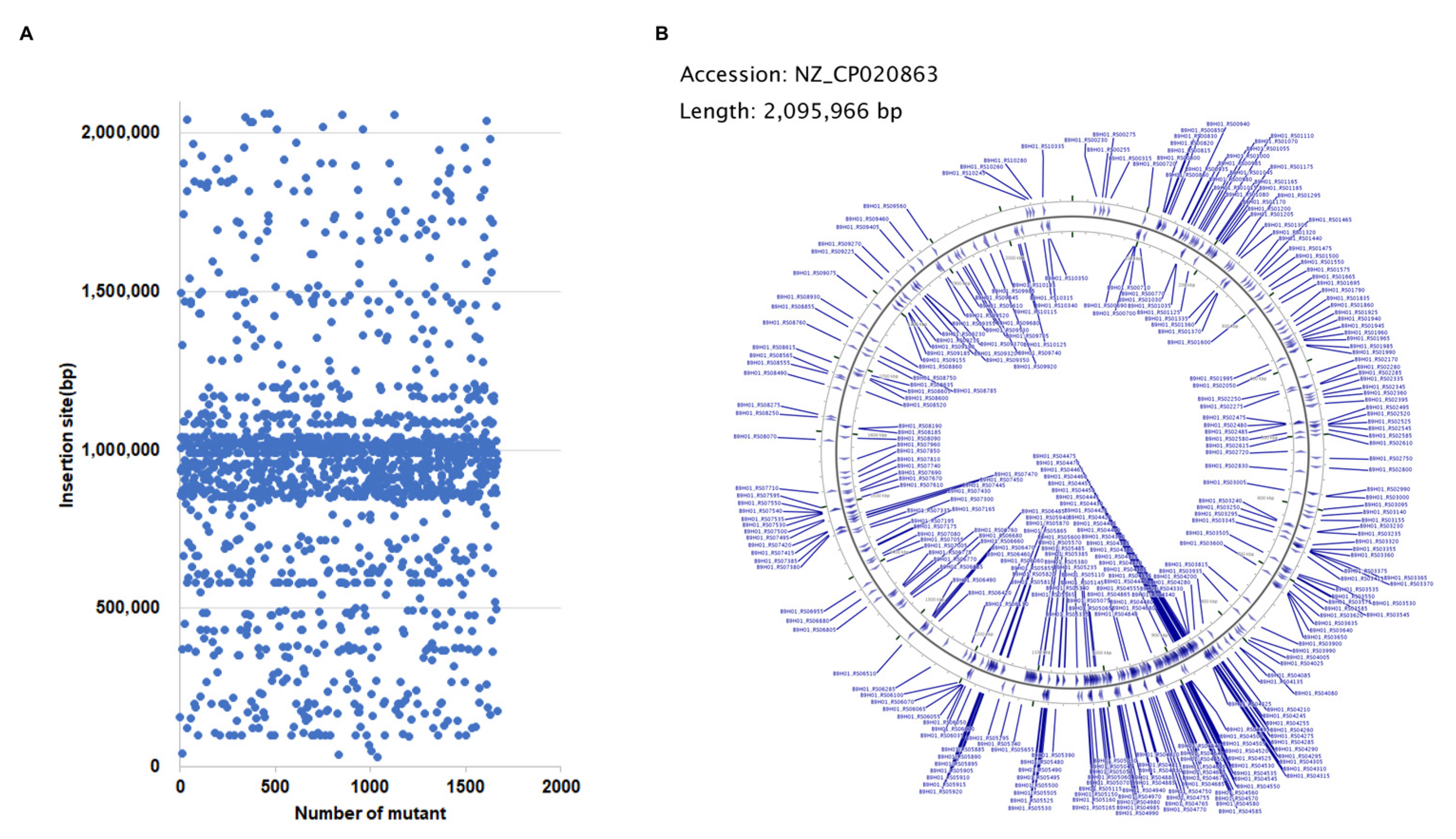 Microorganisms 10 00868 g001 Microorganisms 10 00868 g001