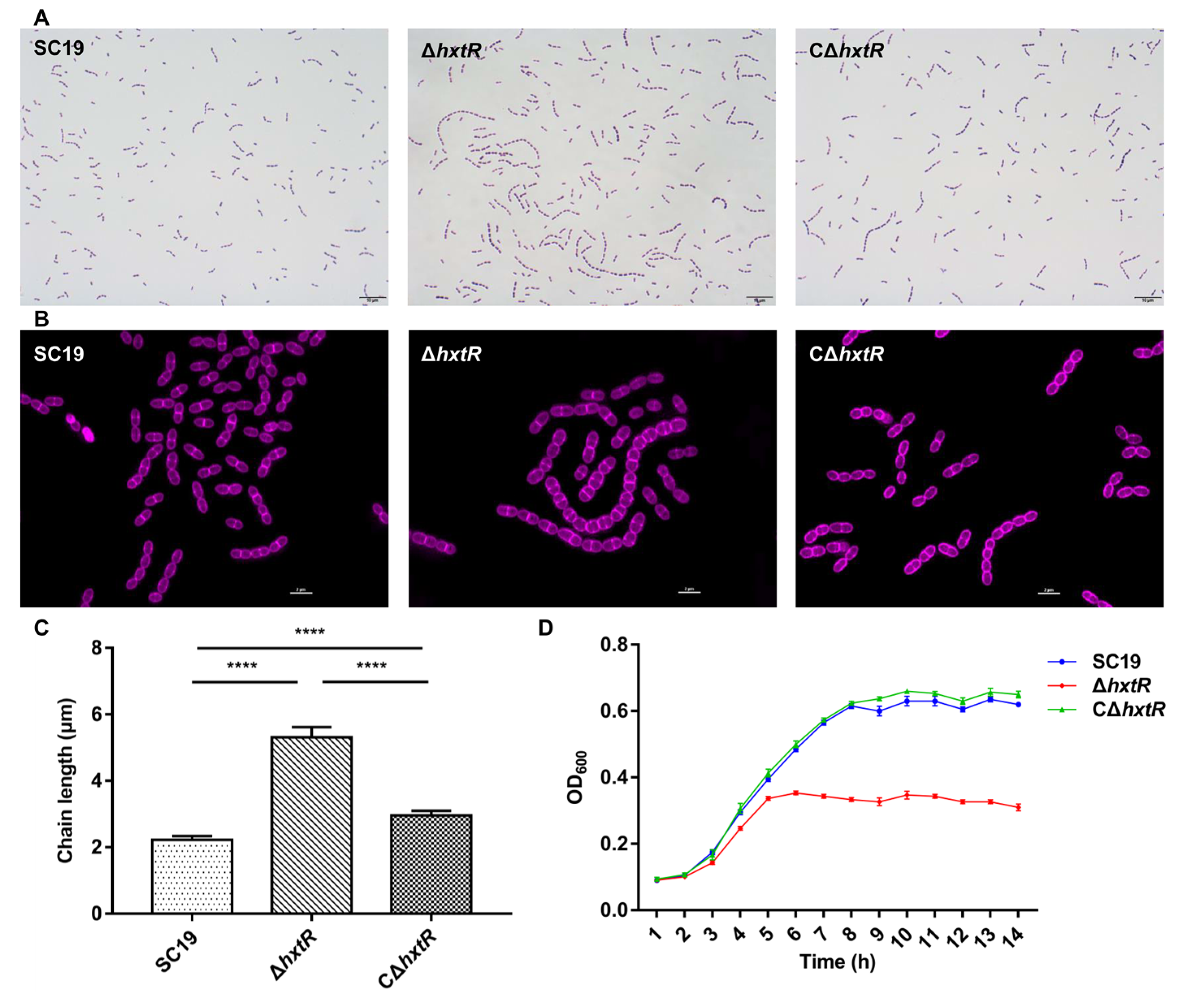 Microorganisms 10 00868 g004 Microorganisms 10 00868 g004