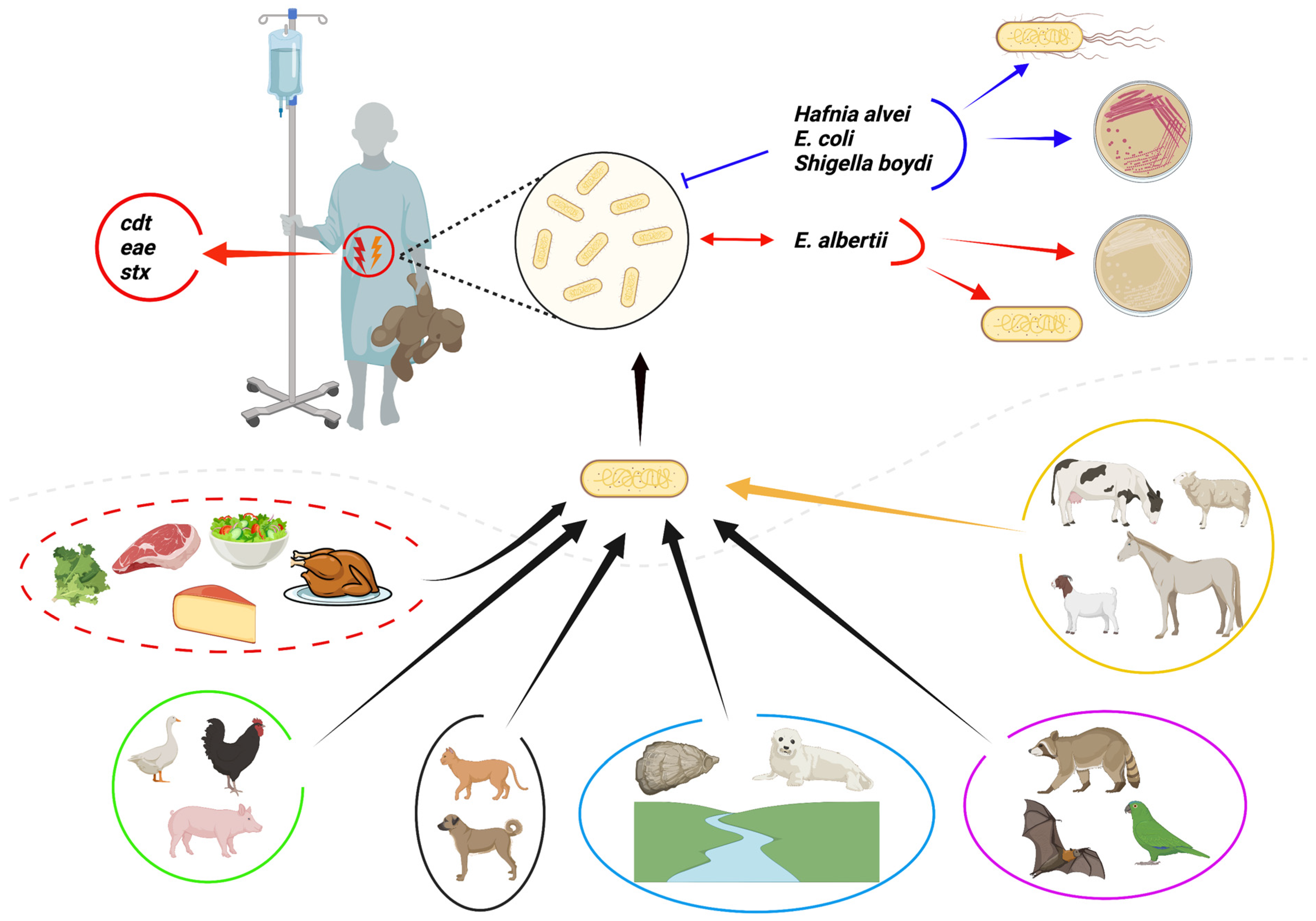 Microorganisms 10 00875 g001 Microorganisms 10 00875 g001
