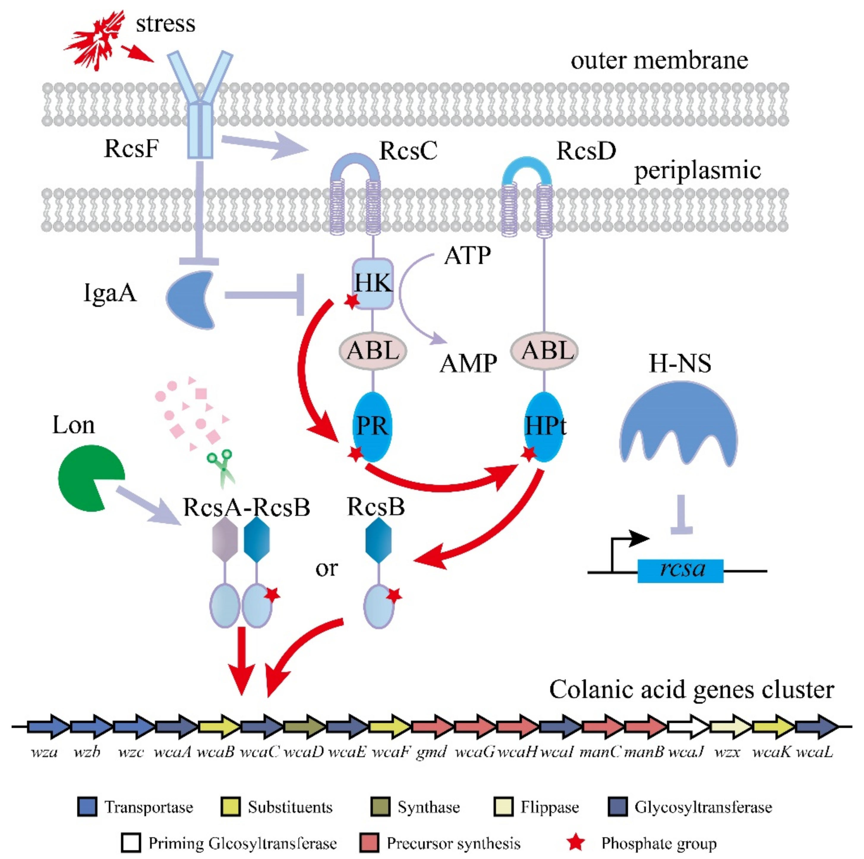 Microorganisms 10 00877 g001