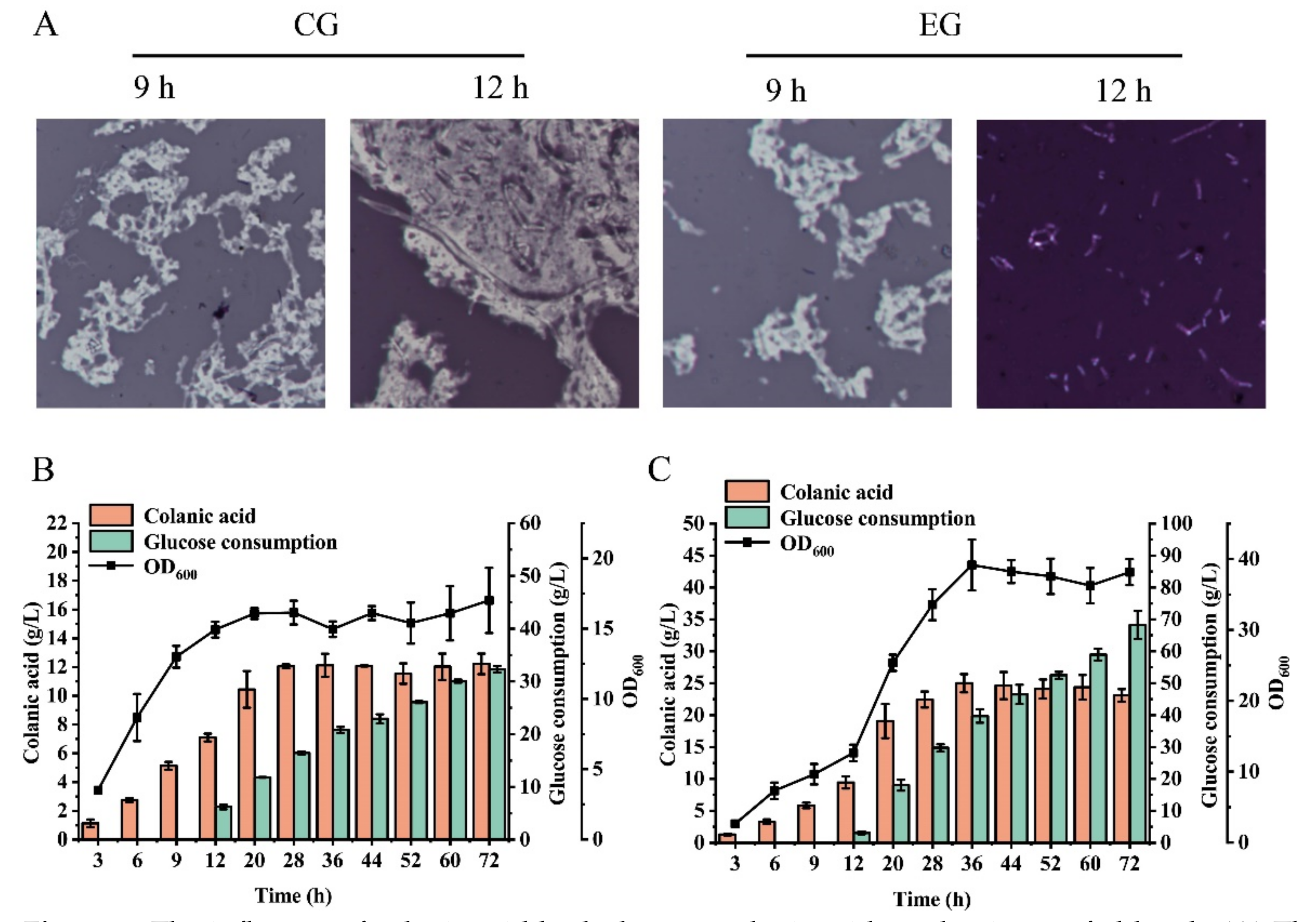 Microorganisms 10 00877 g007